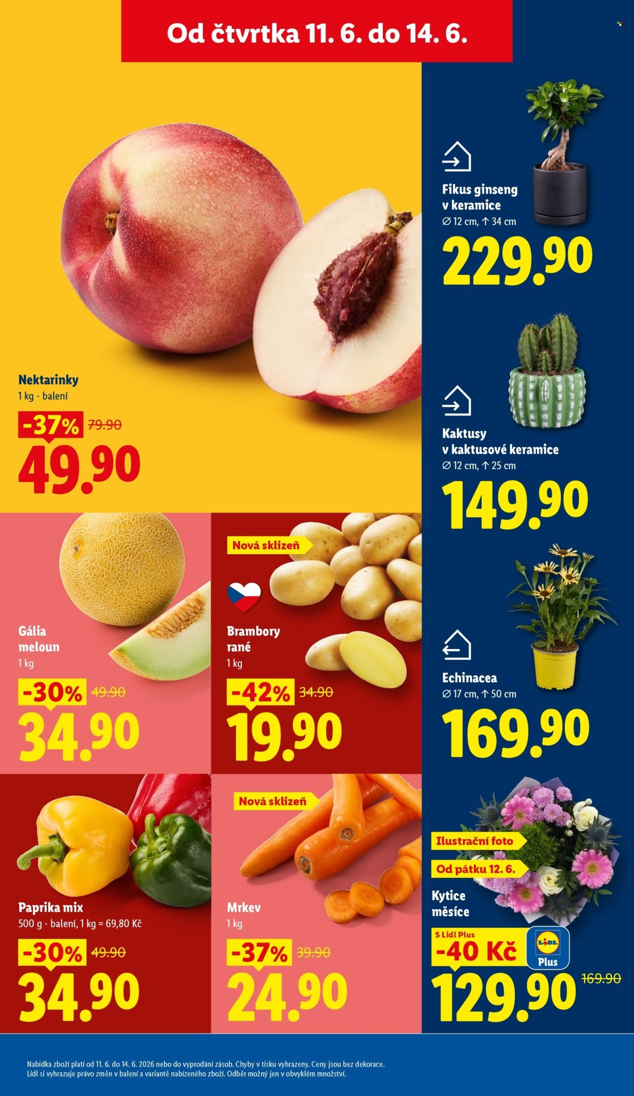 LIDL leták - Od čtvrtka 11.6.2026