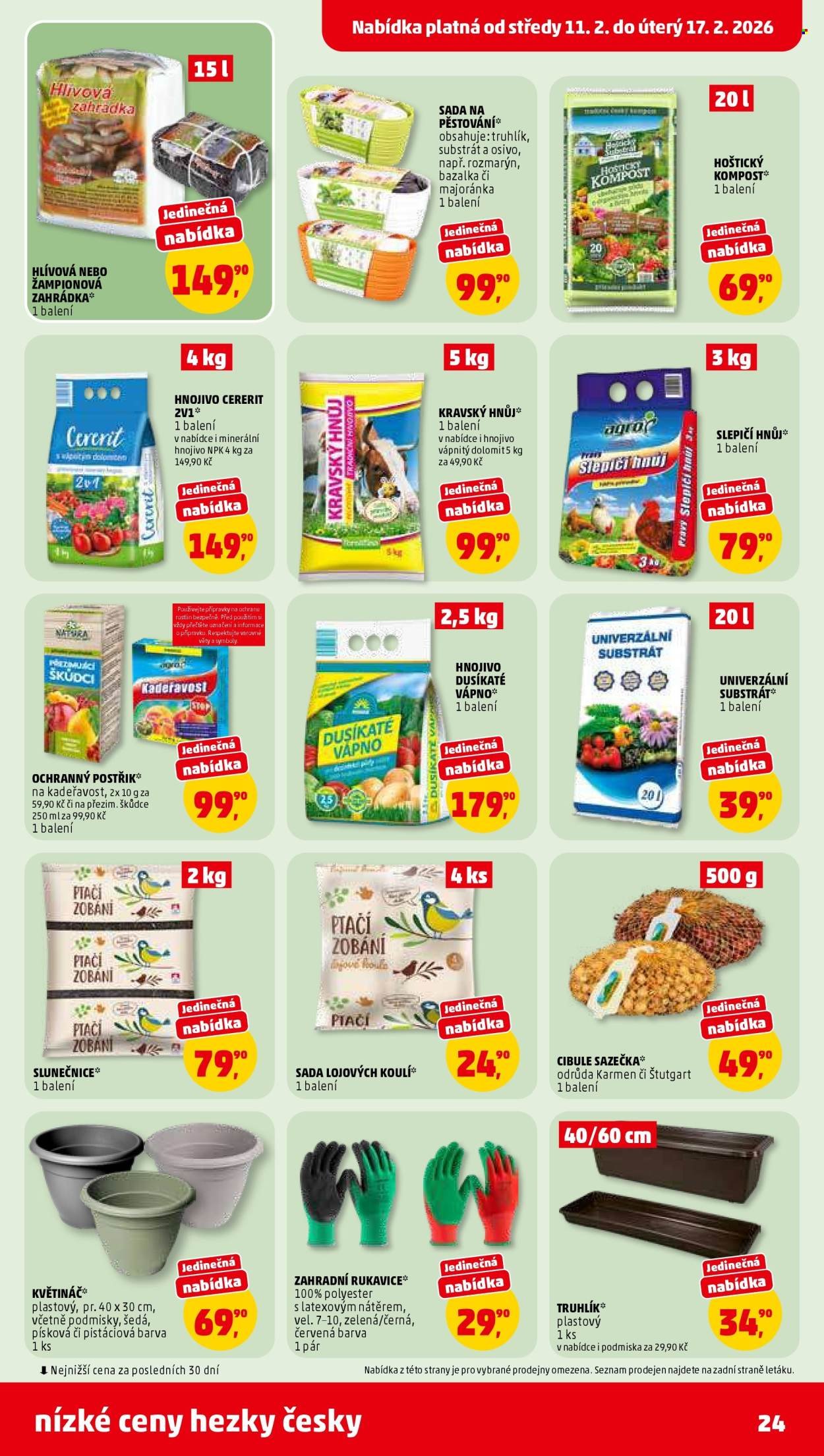 PENNY leták - nízké ceny hezky česky (2026-02-11 - 2026-02-17)