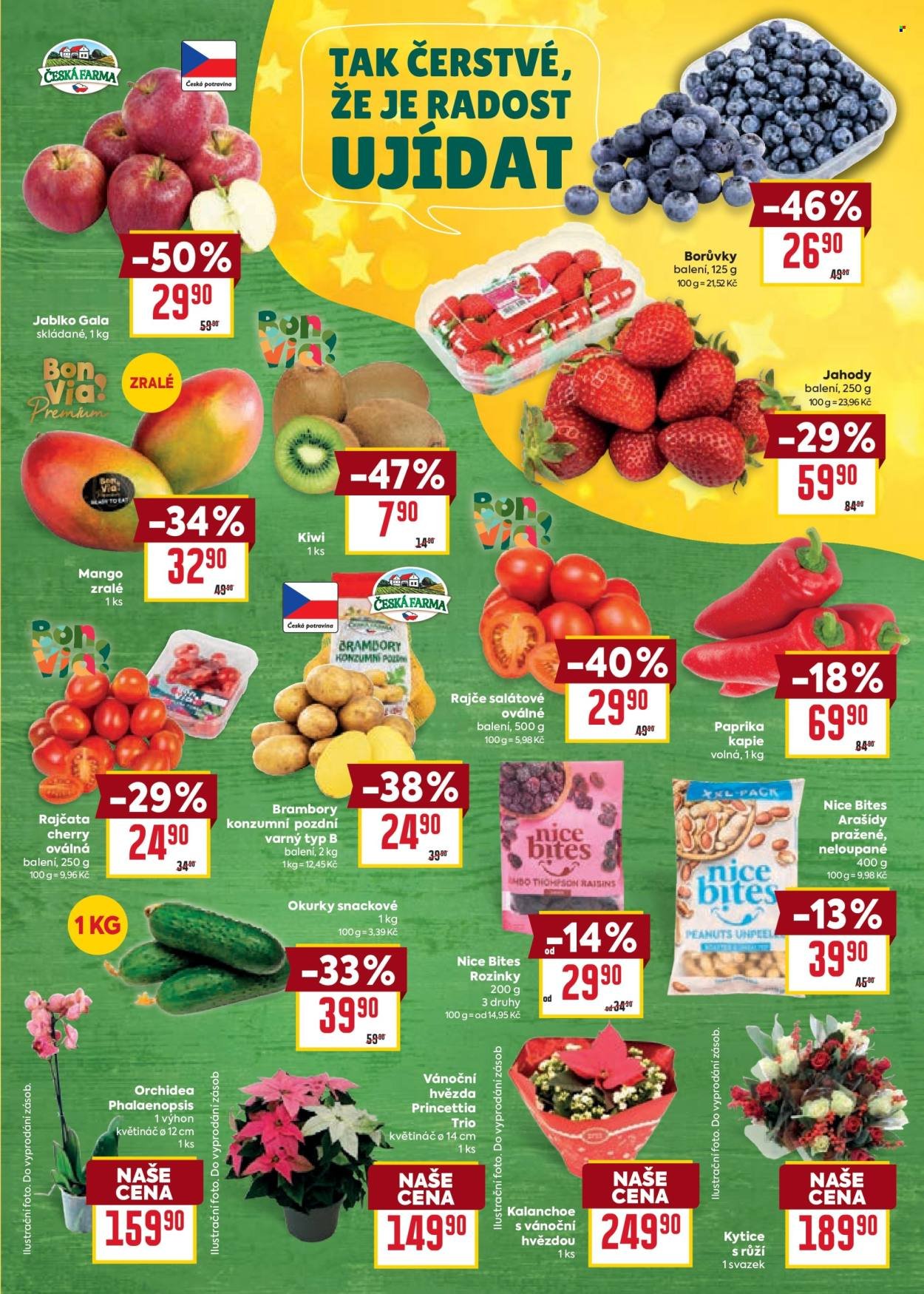 BILLA leták - Velký leták (2025-12-03 - 2025-12-09)