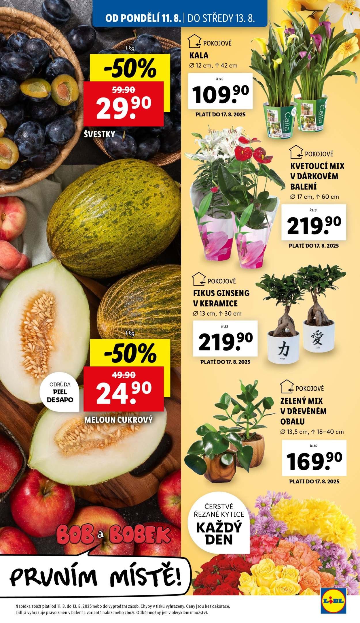 LIDL leták - Od pondělí 11.8.2025 (2025-08-11 - 2025-08-13)