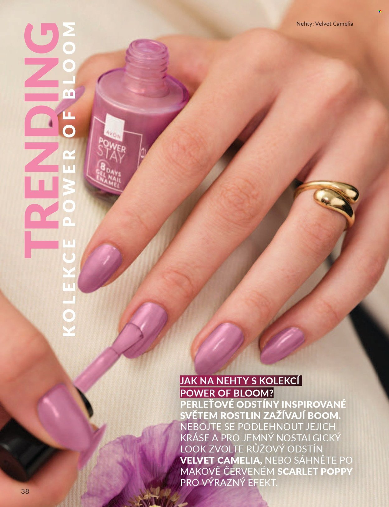 AVON leták - Katalog 5 (2026-05-01 - 2026-05-31)