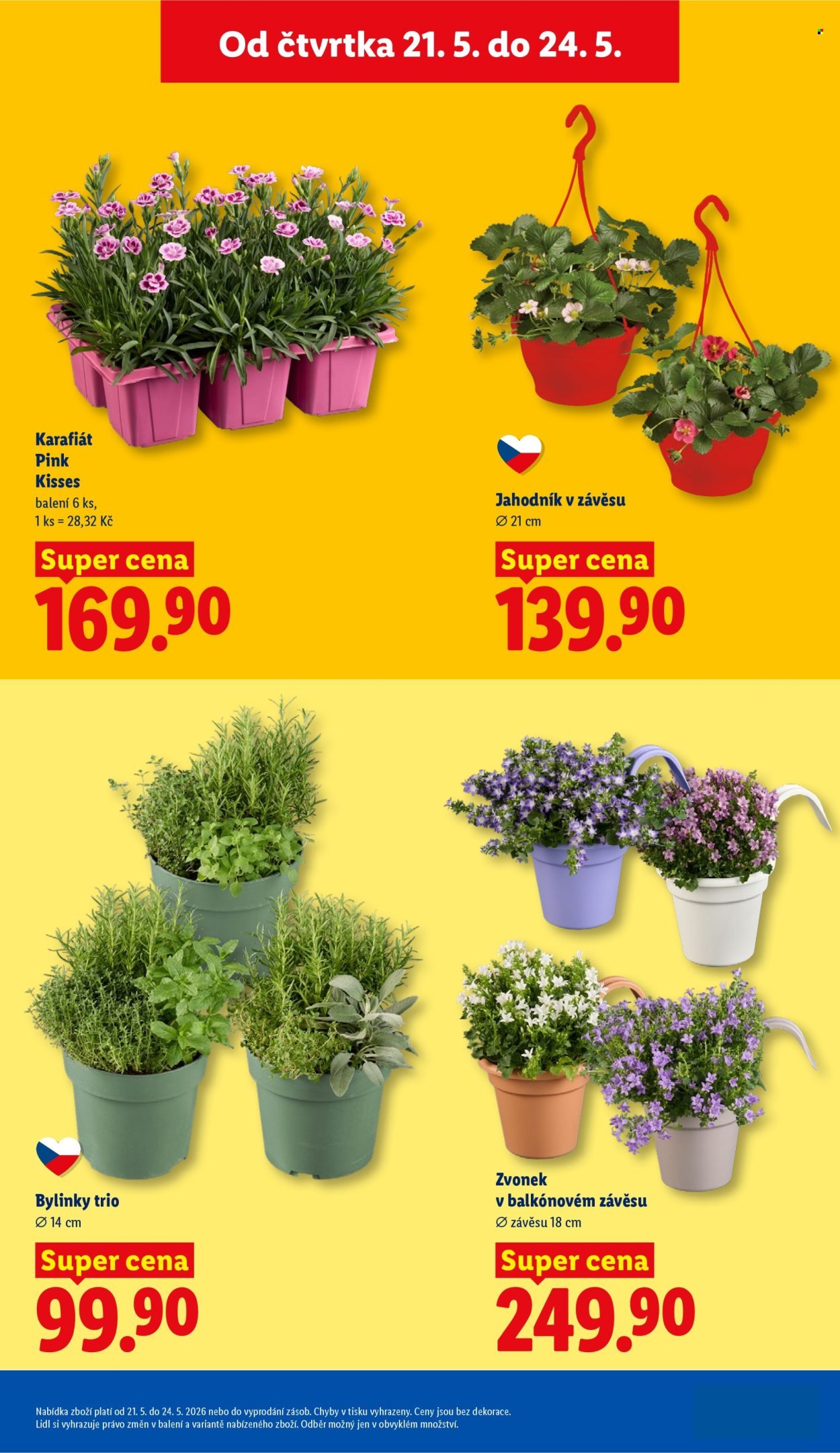 LIDL leták - Od čtvrtka 21.5.2026 (2026-05-21 - 2026-05-24)
