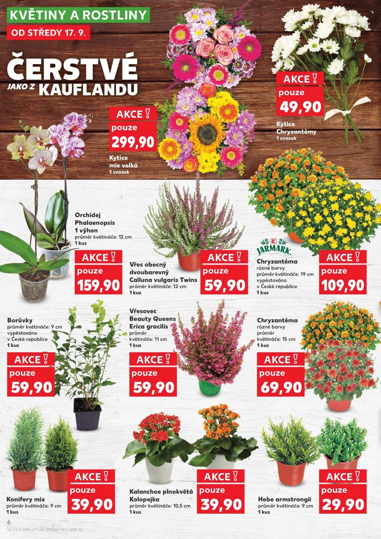 KAUFLAND leták - Od středy 17.9.2025 (2025-09-17 - 2025-09-23)