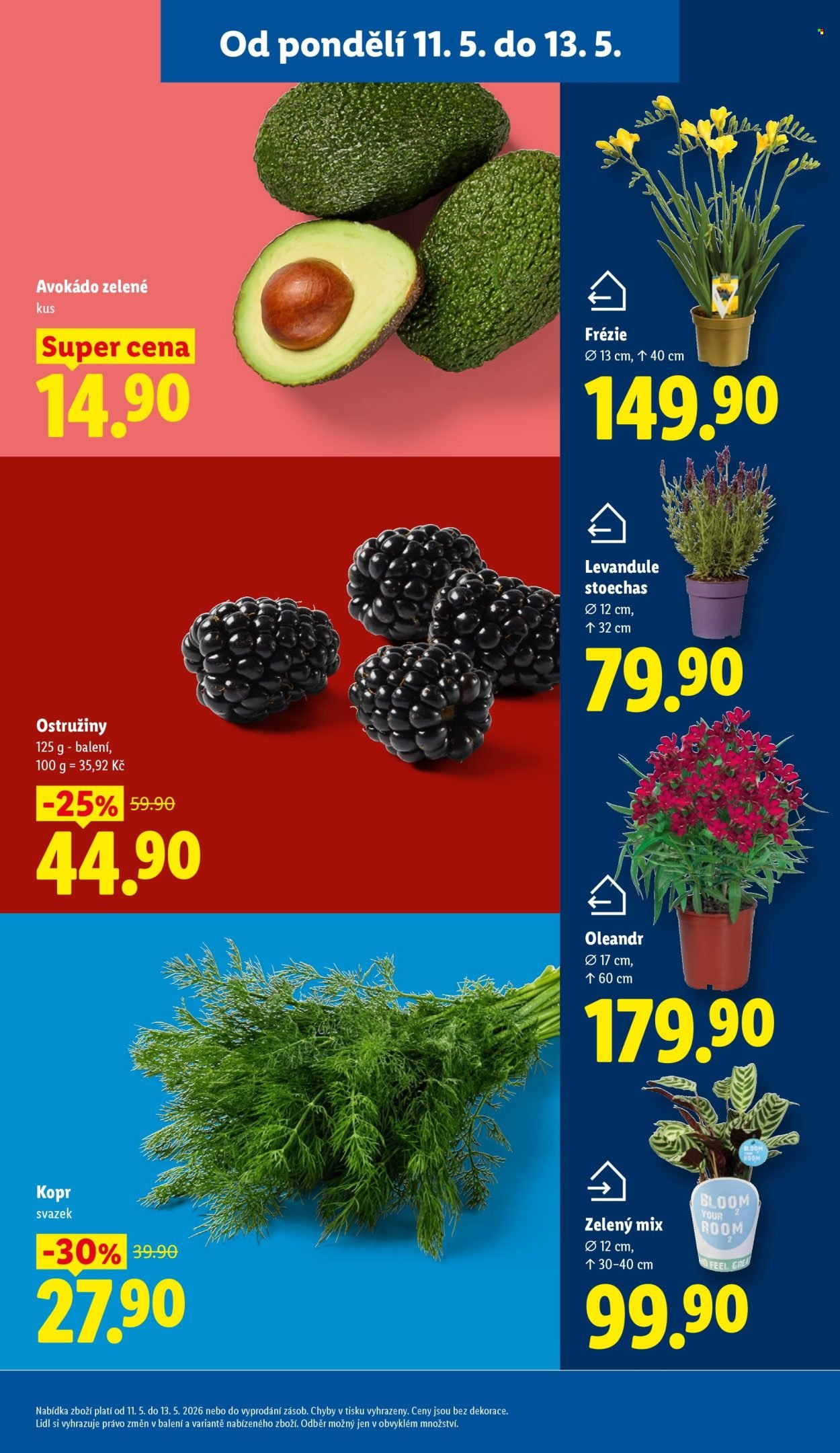 LIDL leták - Od pondělí 11.5.2026 (2026-05-11 - 2026-05-13)