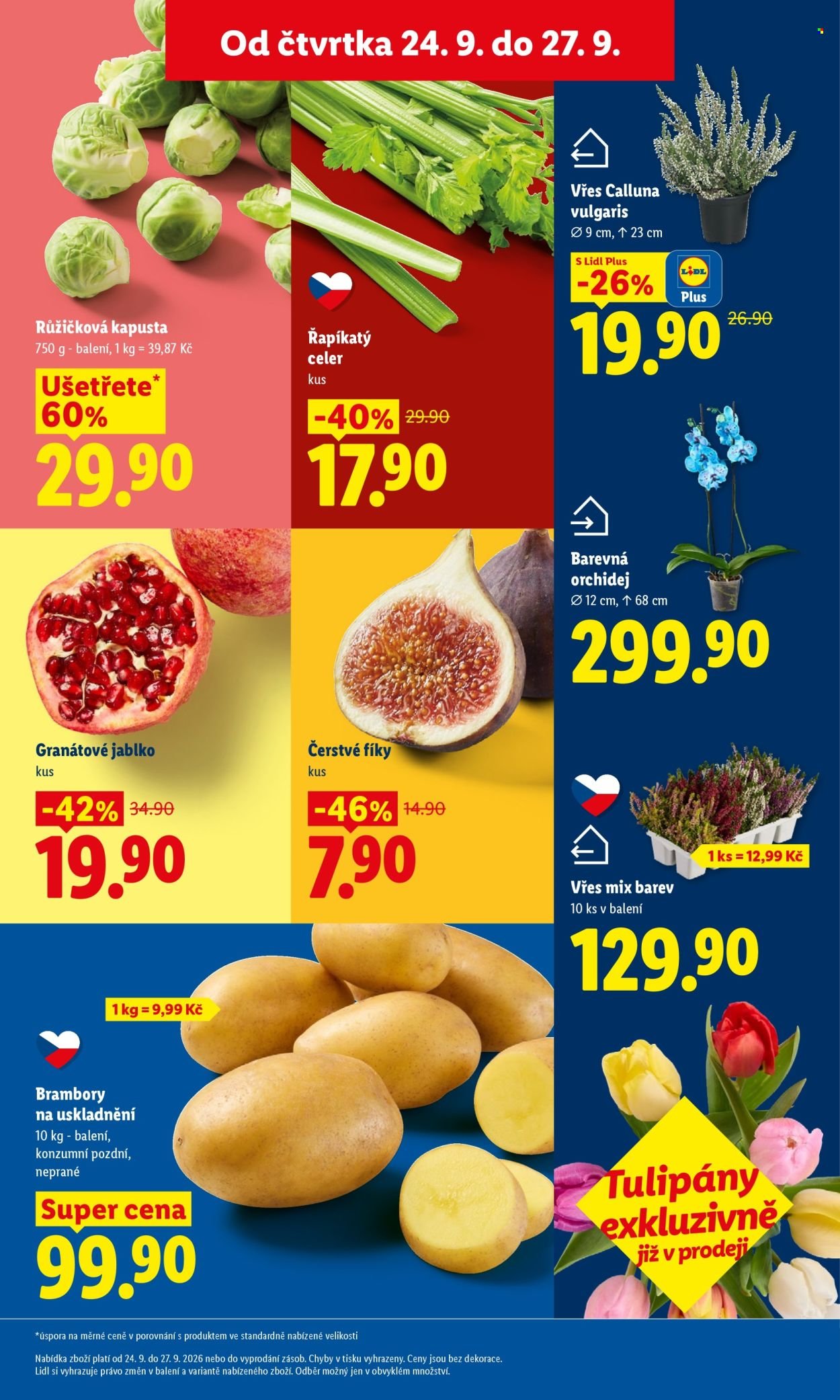 LIDL leták - Od čtvrtka 24.9.2026