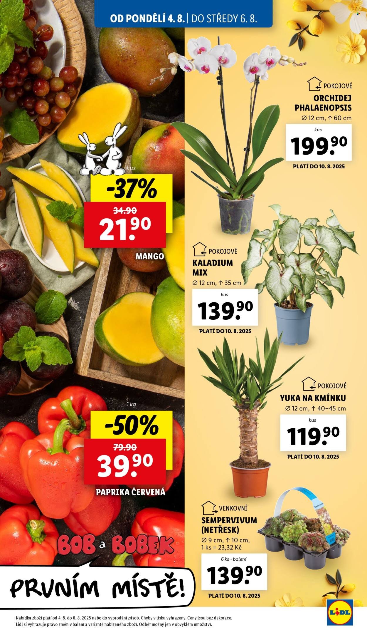 LIDL leták - Od pondělí 4.8.2025 (2025-08-04 - 2025-08-06)