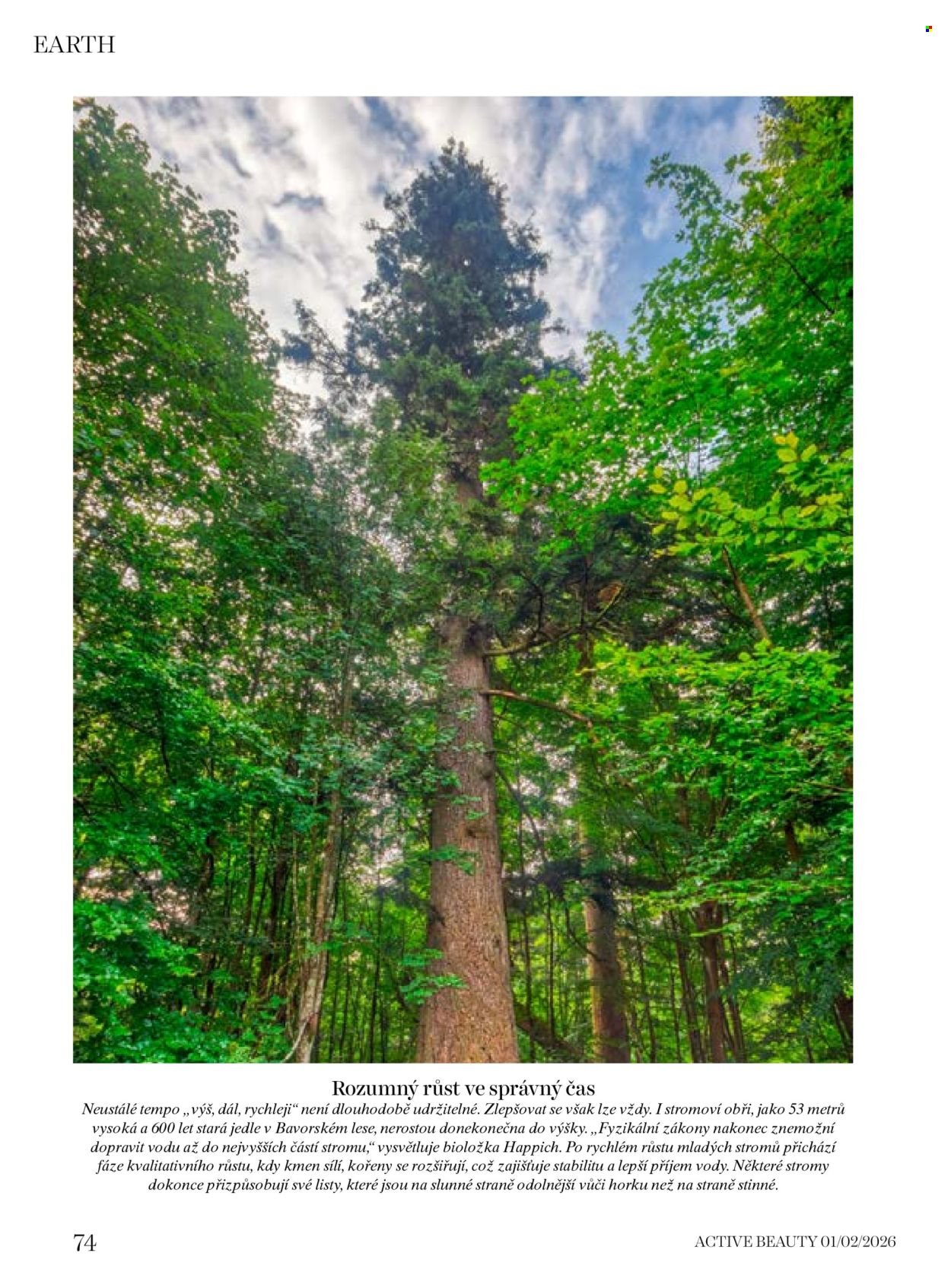 DM DROGERIE leták - Active Beauty (2026-01-16 - 2026-03-05)