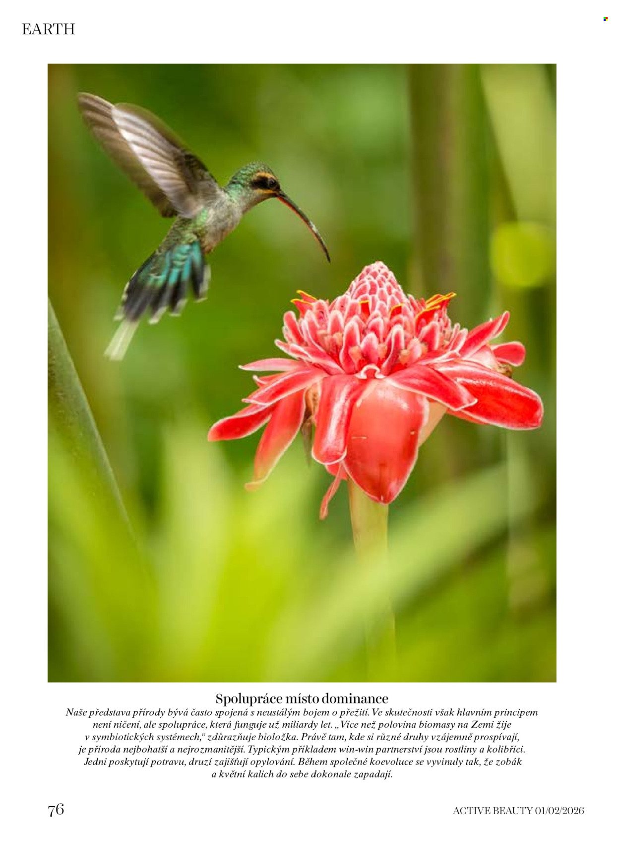 DM DROGERIE leták - Active Beauty (2026-01-16 - 2026-03-05)