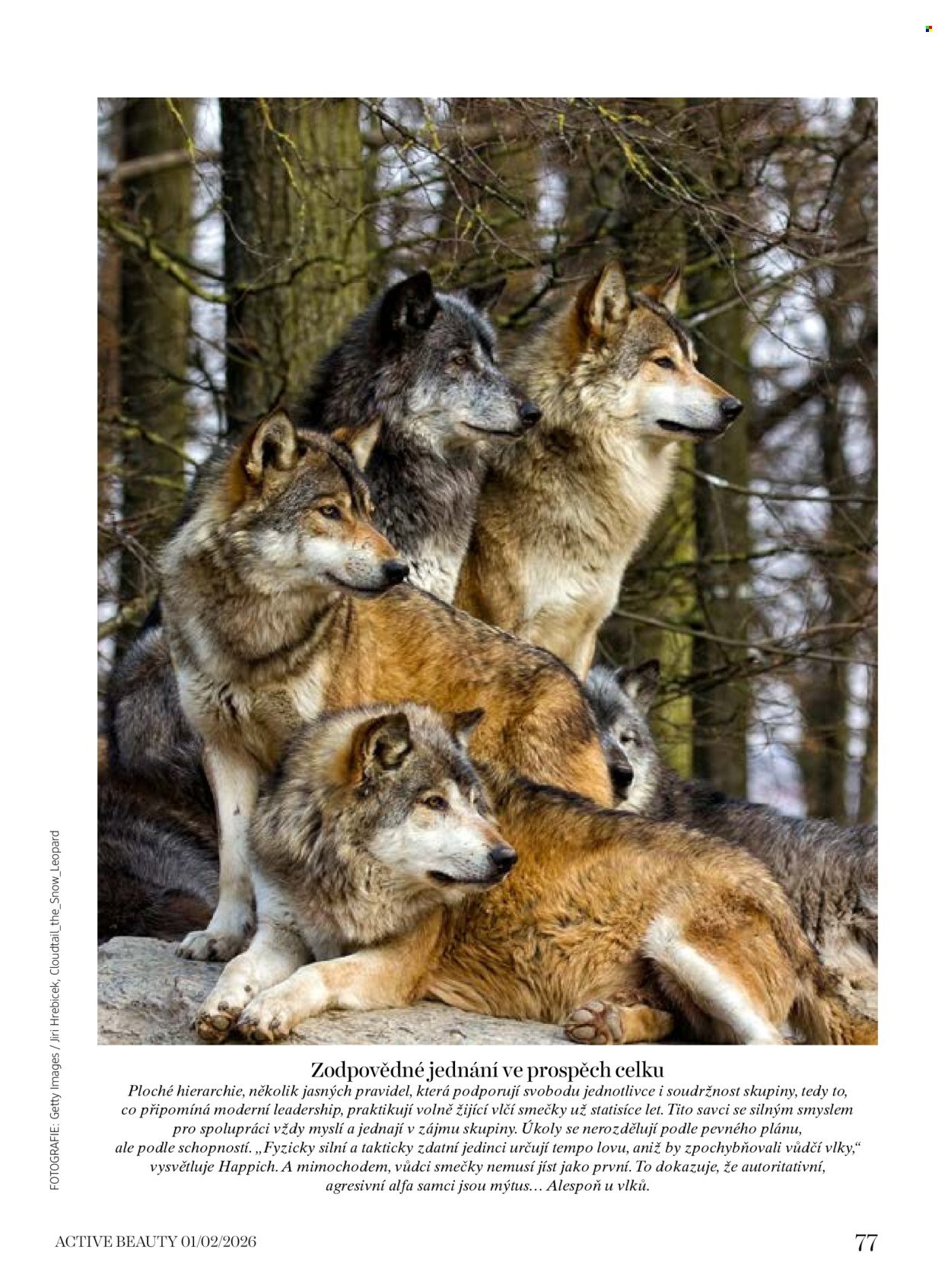 DM DROGERIE leták - Active Beauty (2026-01-16 - 2026-03-05)