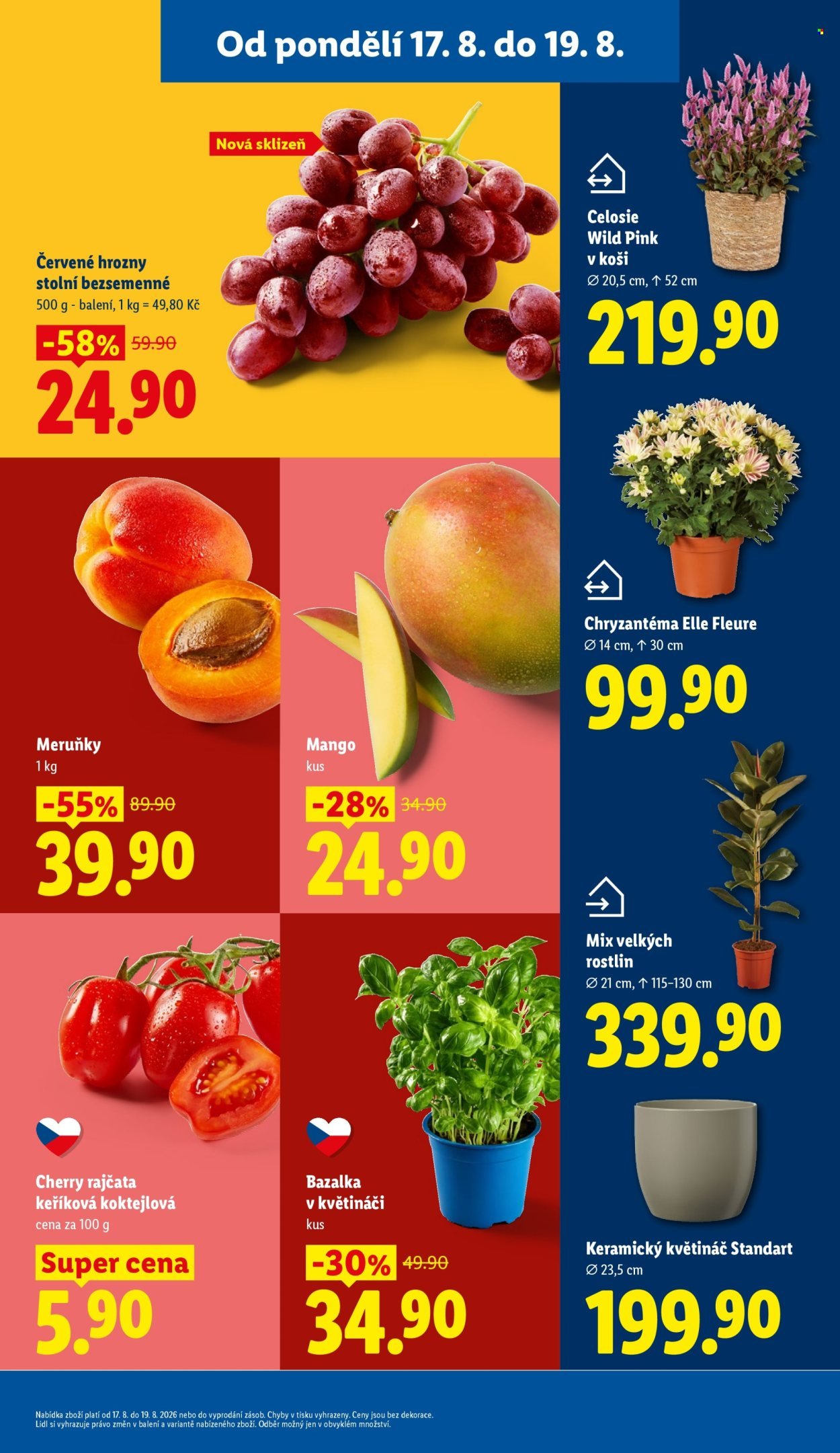 LIDL leták - Od pondělí 17.8.2026
