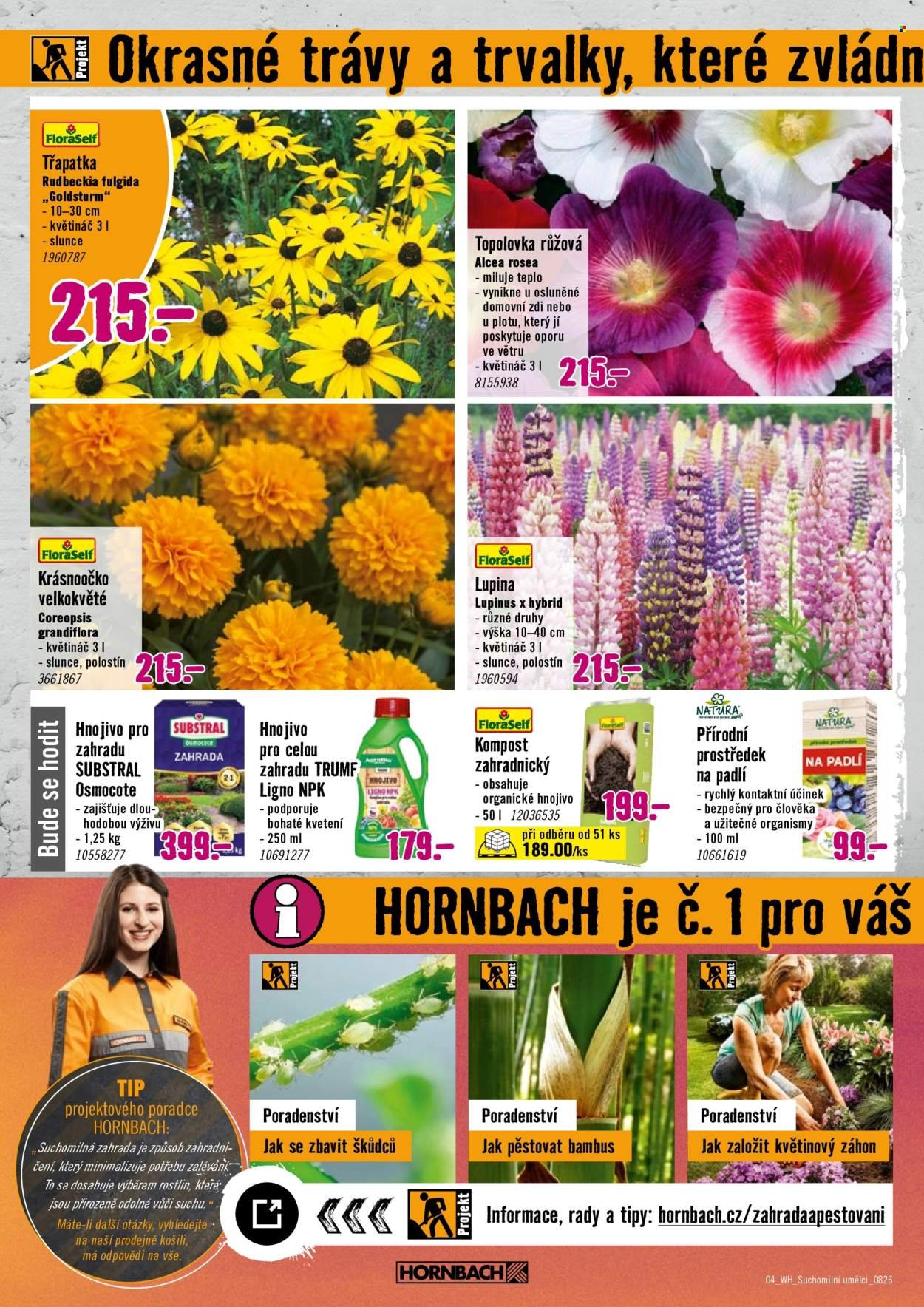 HORNBACH leták - Váš další projekt - Zelená střecha