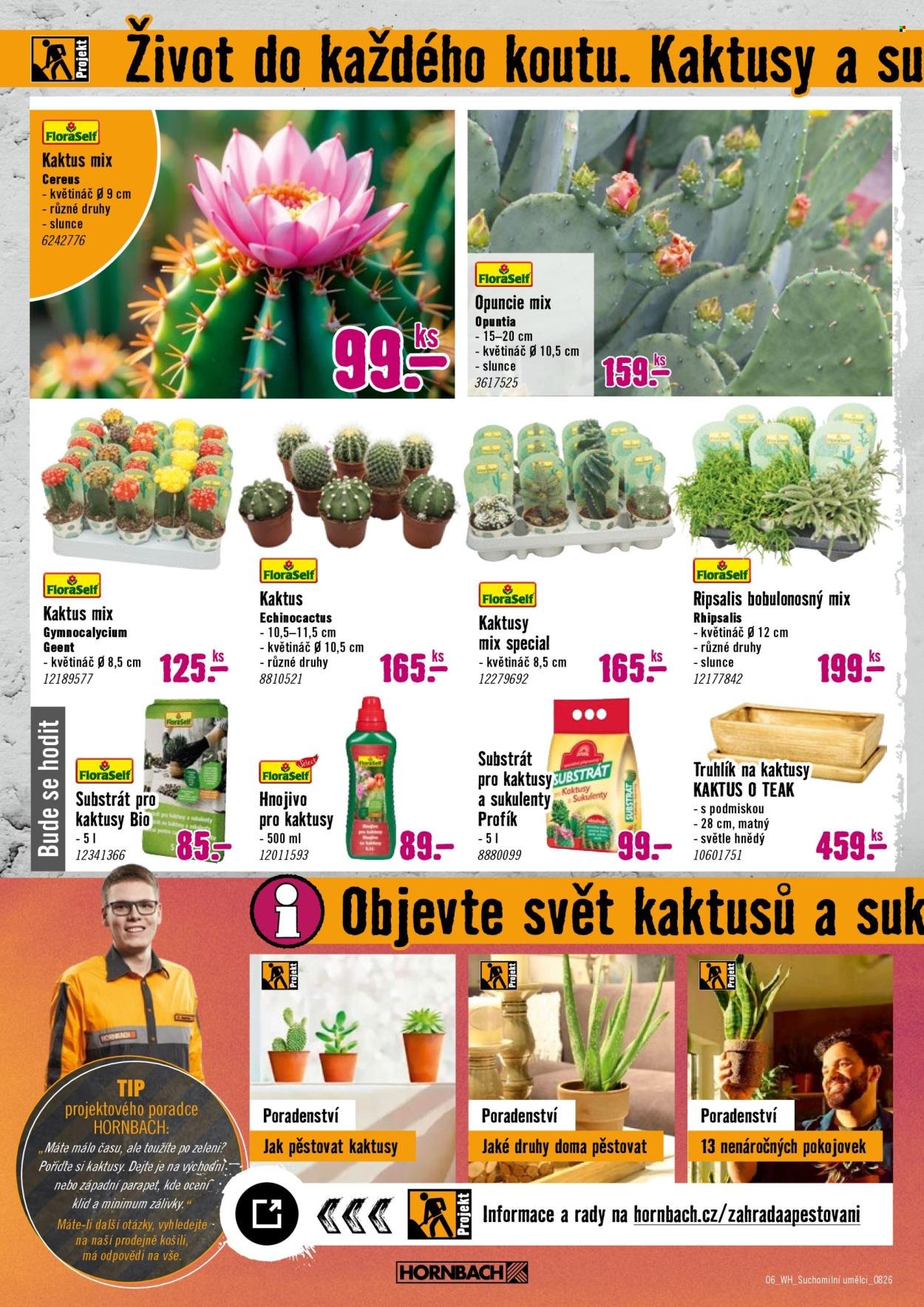 HORNBACH leták - Váš další projekt - Zelená střecha