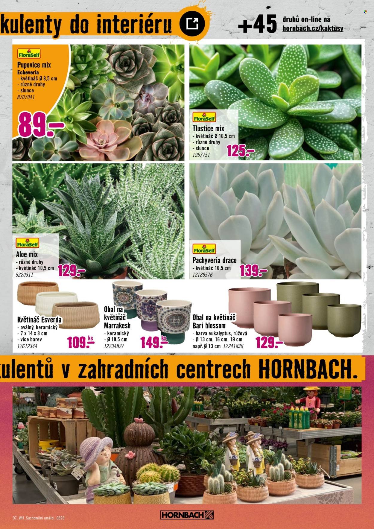 HORNBACH leták - Váš další projekt - Zelená střecha