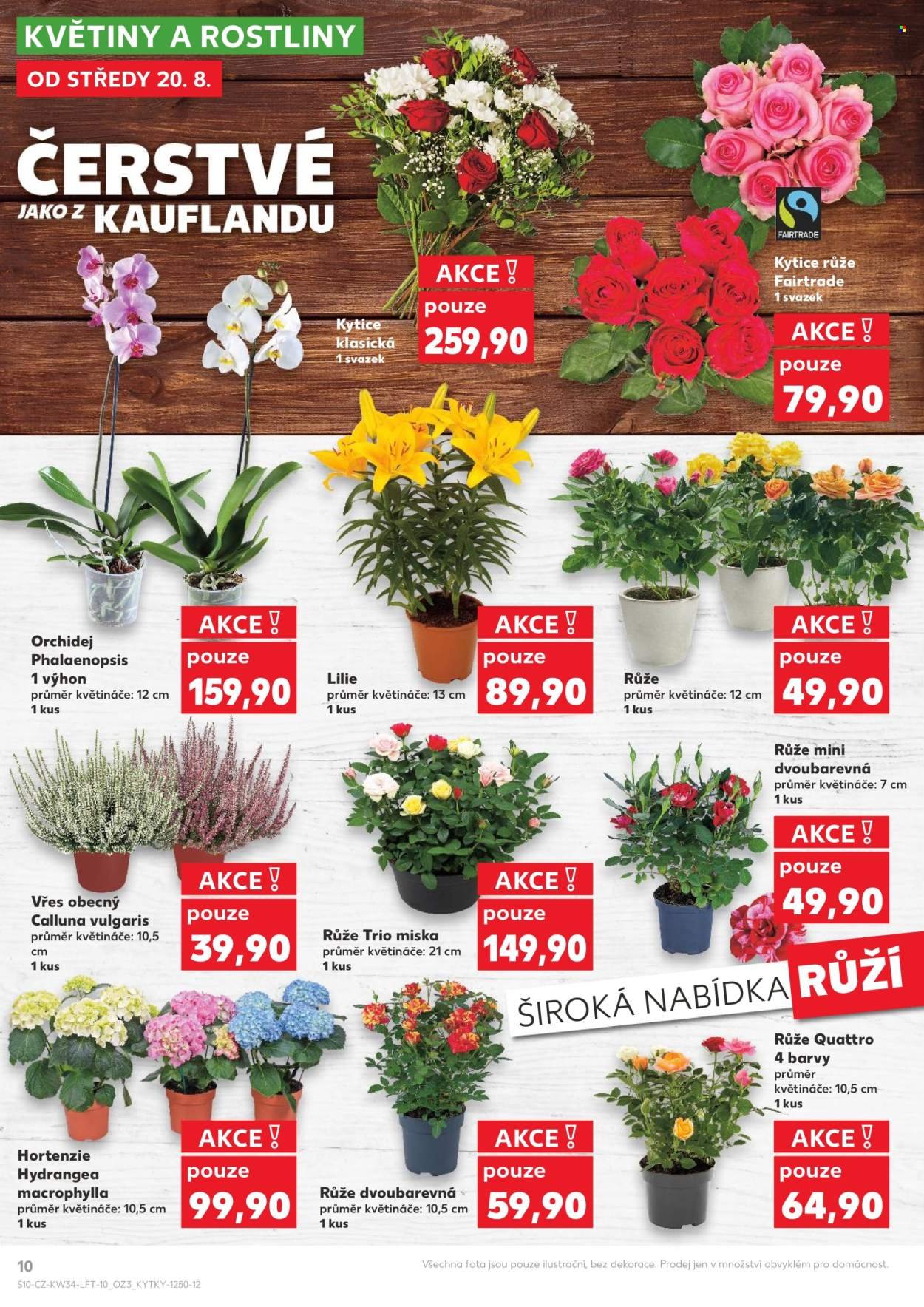 KAUFLAND leták - Od středy 20.8.2025 (2025-08-20 - 2025-08-26)