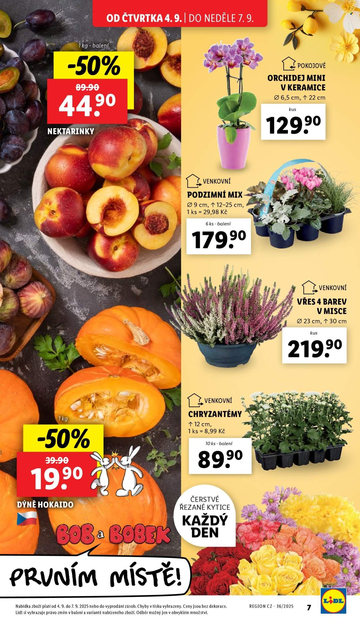 LIDL leták - Od čtvrtka 4.9.2025 (2025-09-04 - 2025-09-07)
