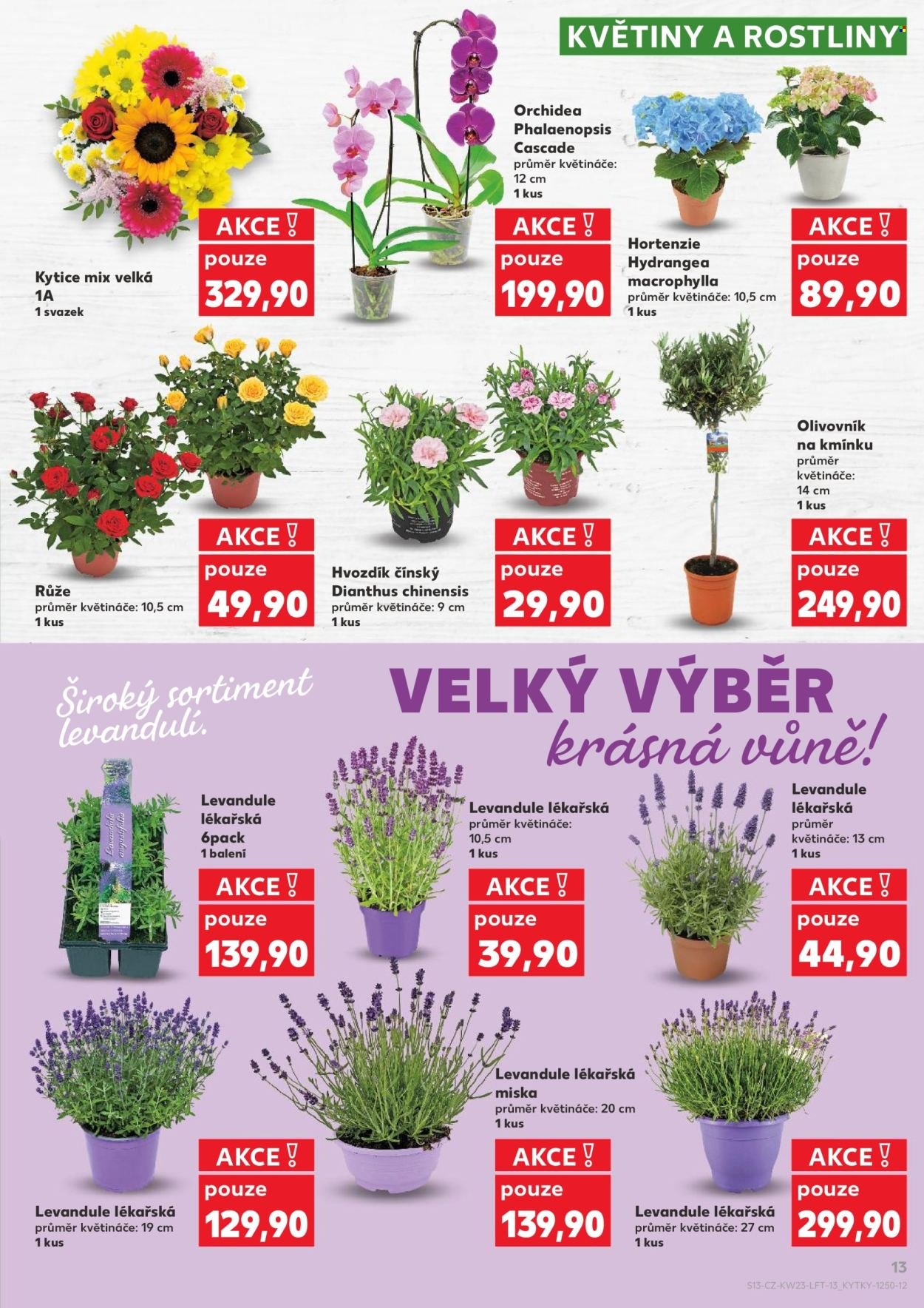 KAUFLAND leták - Od středy 3.6.2026