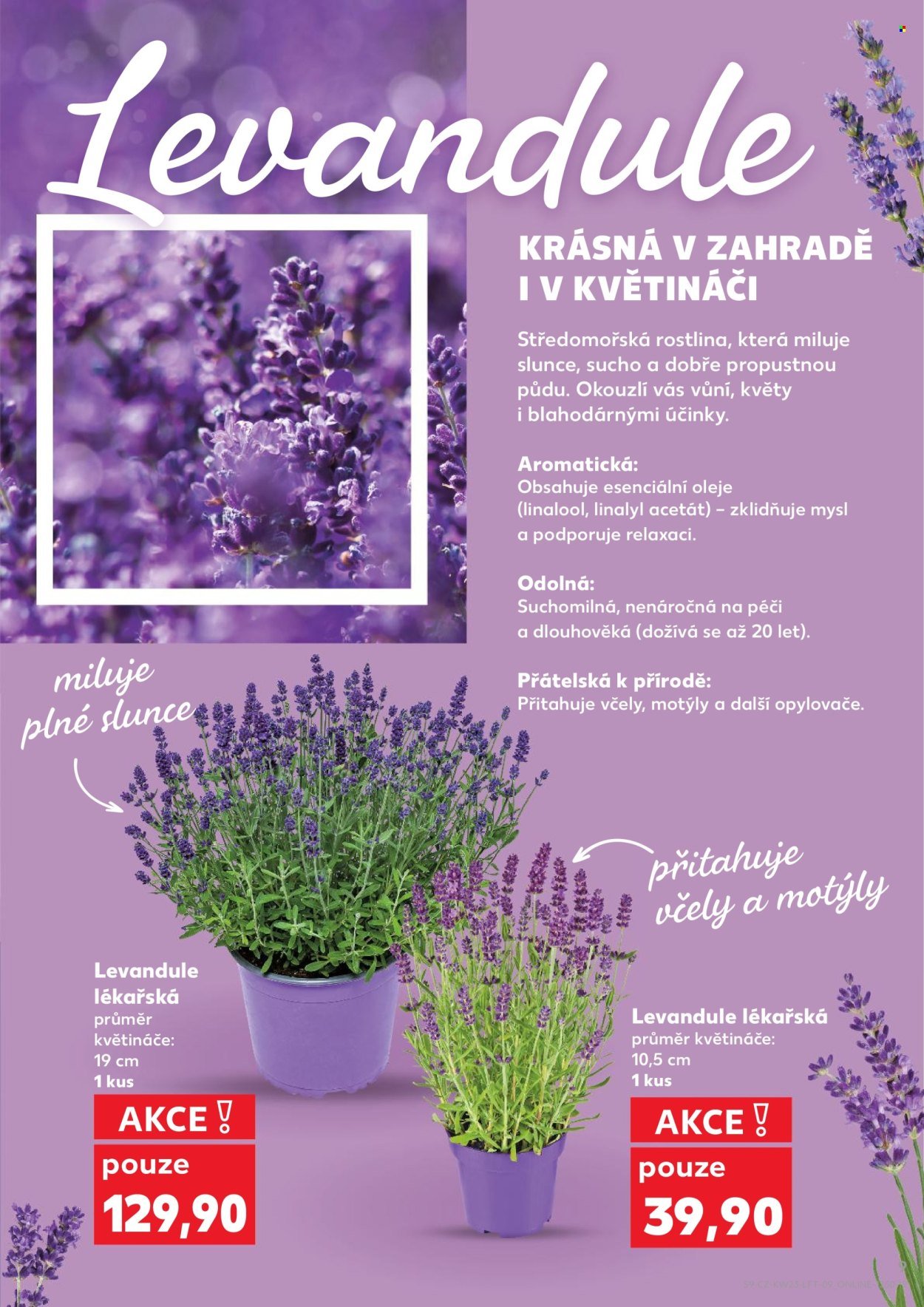 KAUFLAND leták - Od středy 3.6.2026