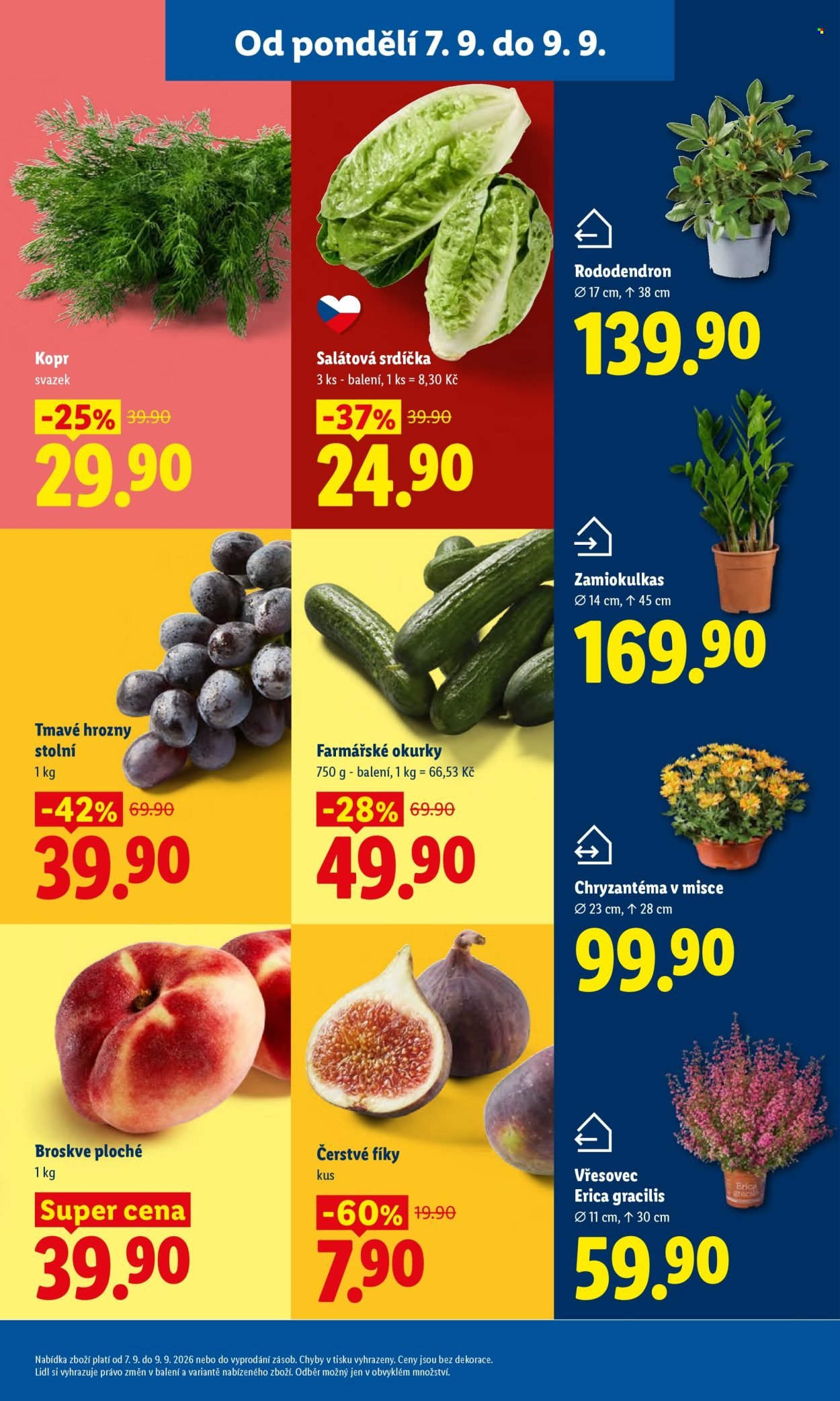 LIDL leták - Od pondělí 7.9.2026