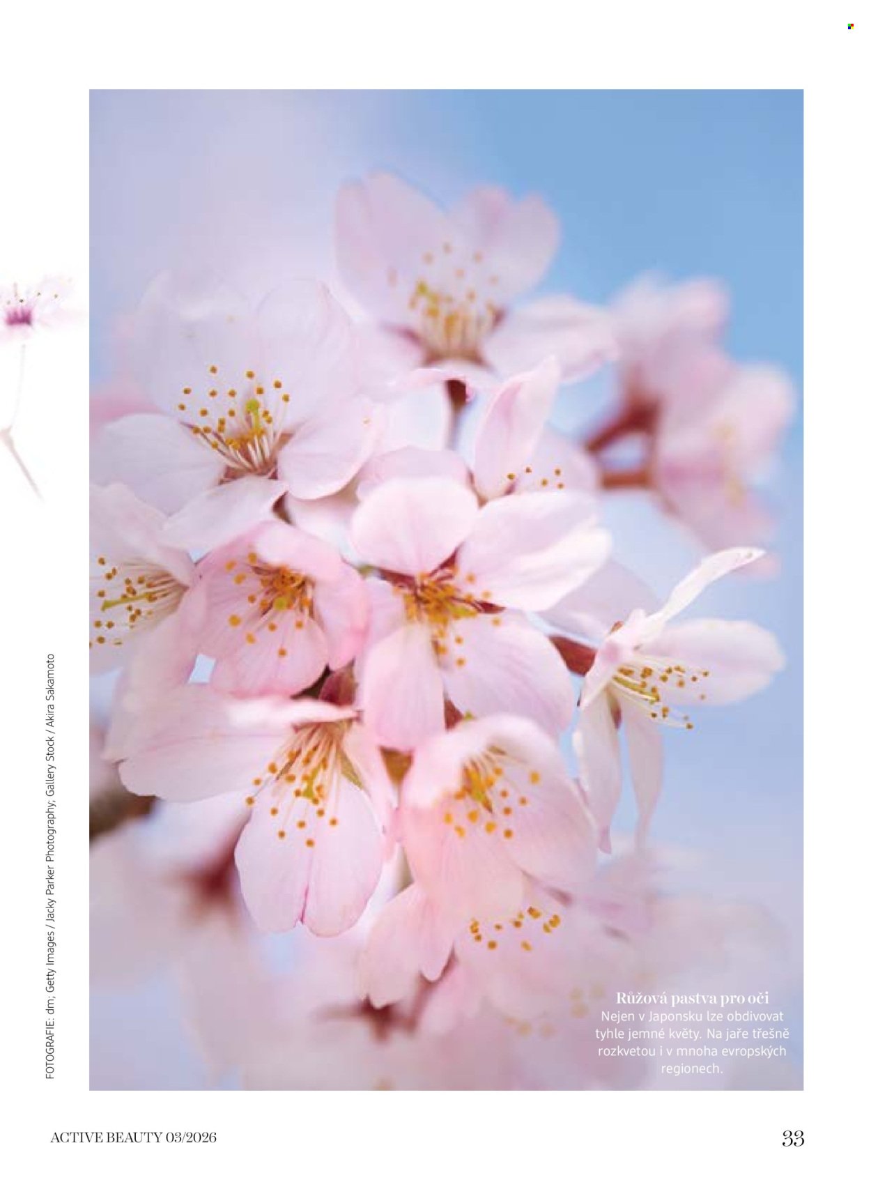 DM DROGERIE leták - Active Beauty (2026-03-06 - 2026-04-09)