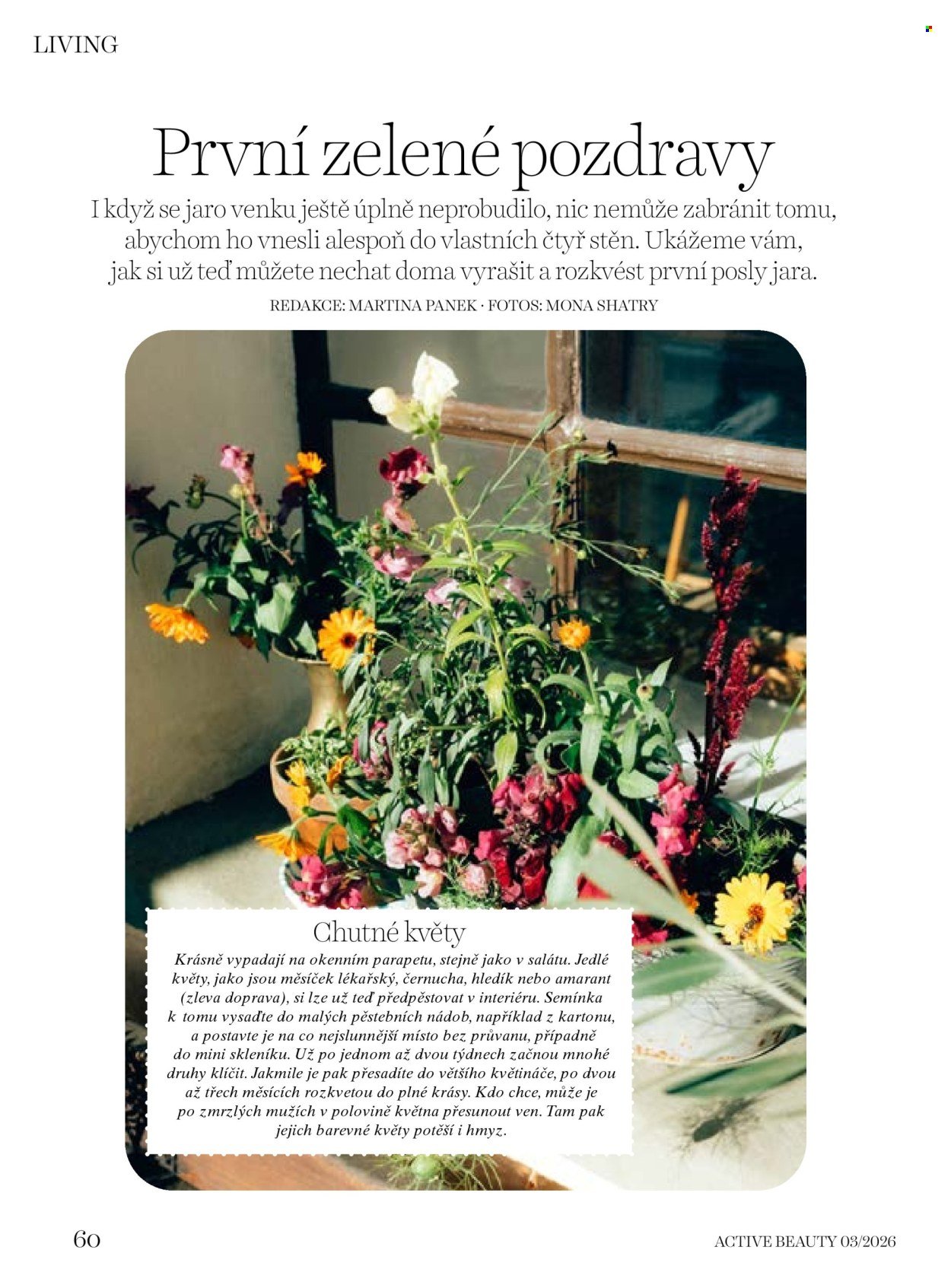 DM DROGERIE leták - Active Beauty (2026-03-06 - 2026-04-09)