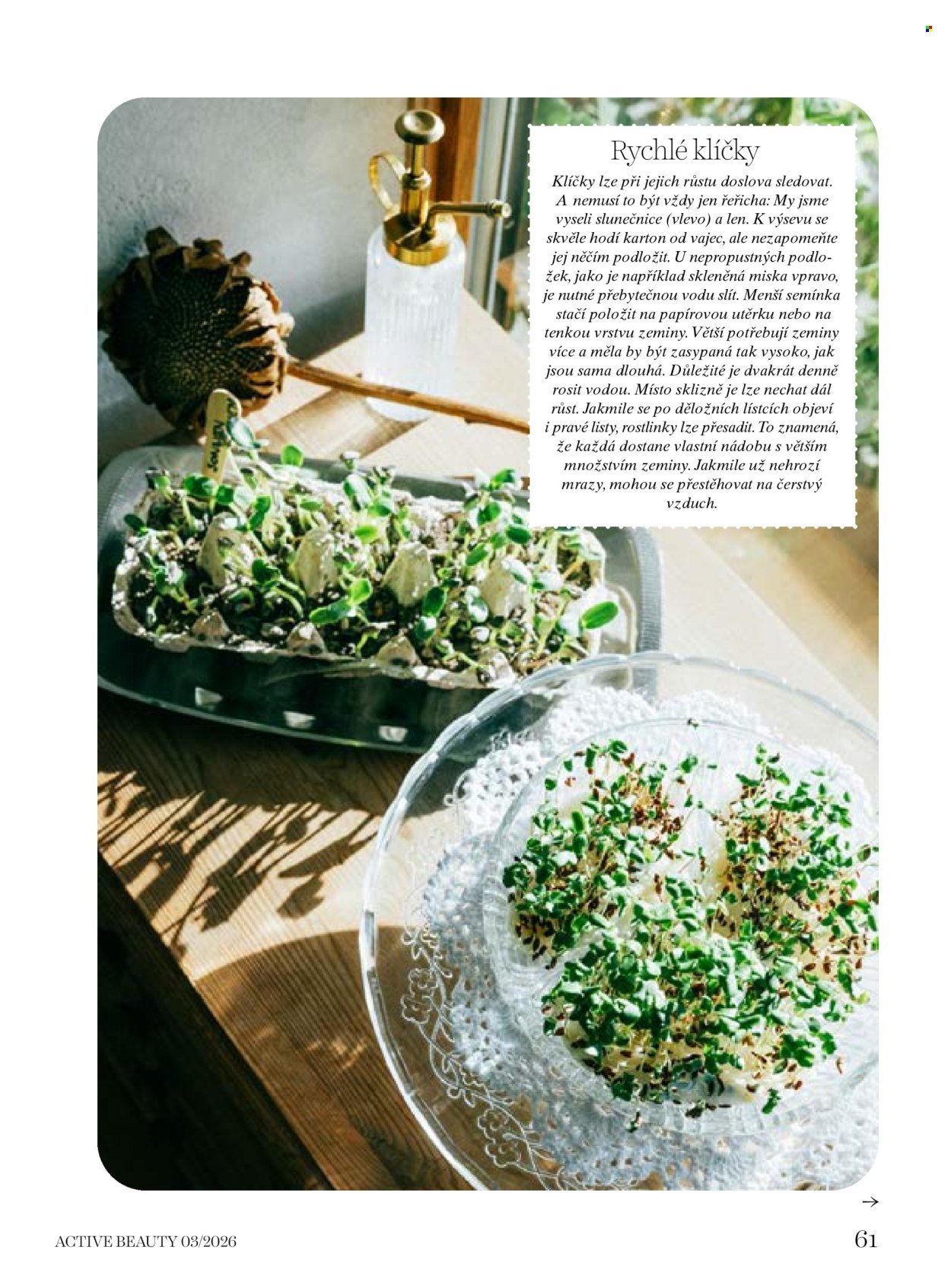 DM DROGERIE leták - Active Beauty (2026-03-06 - 2026-04-09)