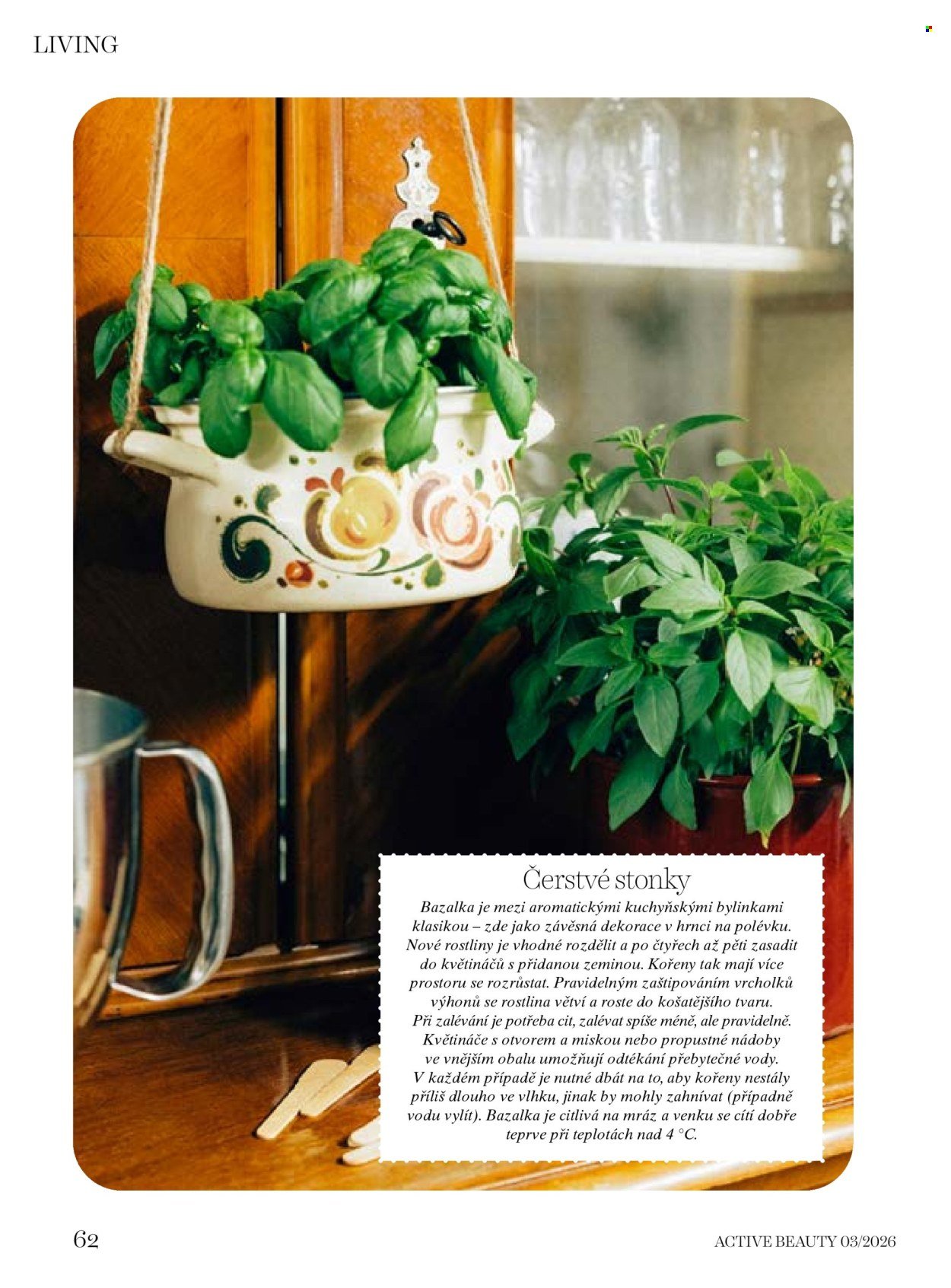 DM DROGERIE leták - Active Beauty (2026-03-06 - 2026-04-09)