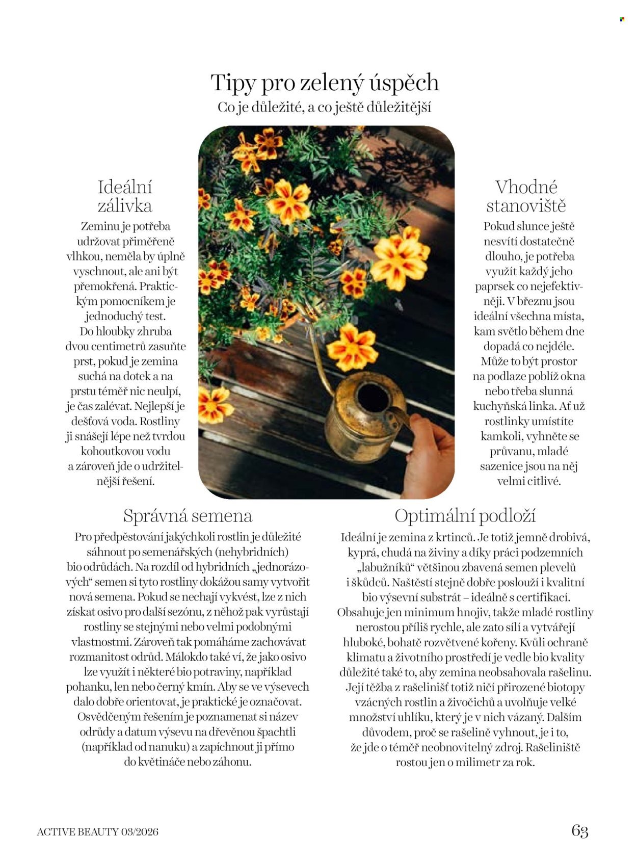 DM DROGERIE leták - Active Beauty (2026-03-06 - 2026-04-09)