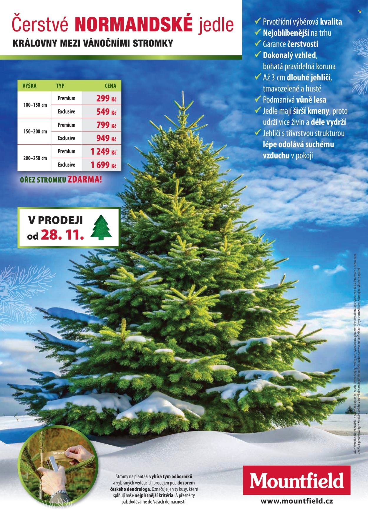 MOUNTFIELD leták - Vánoce (2025-11-24)