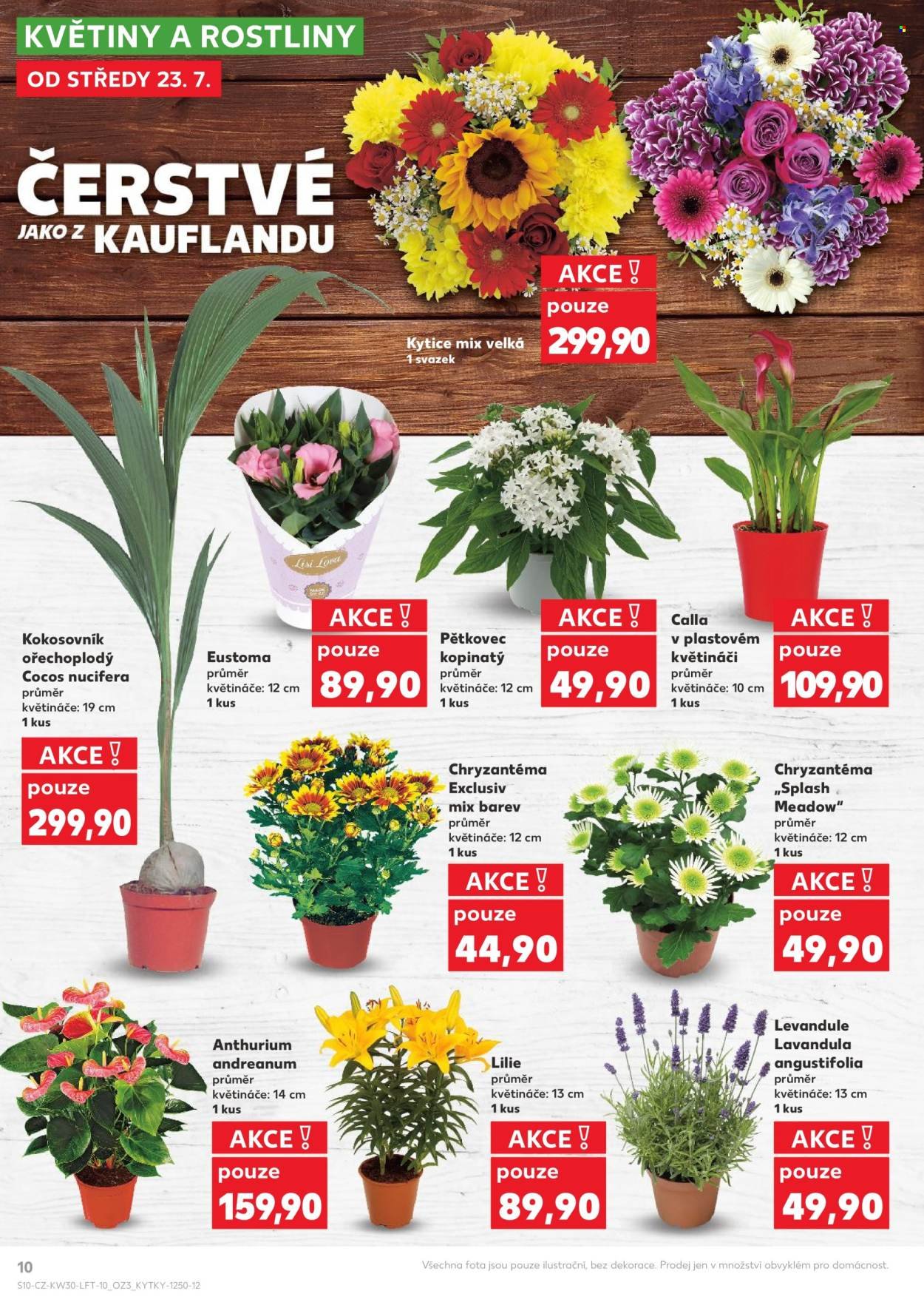 KAUFLAND leták - Od středy 23.7.2025 (2025-07-23 - 2025-07-29)