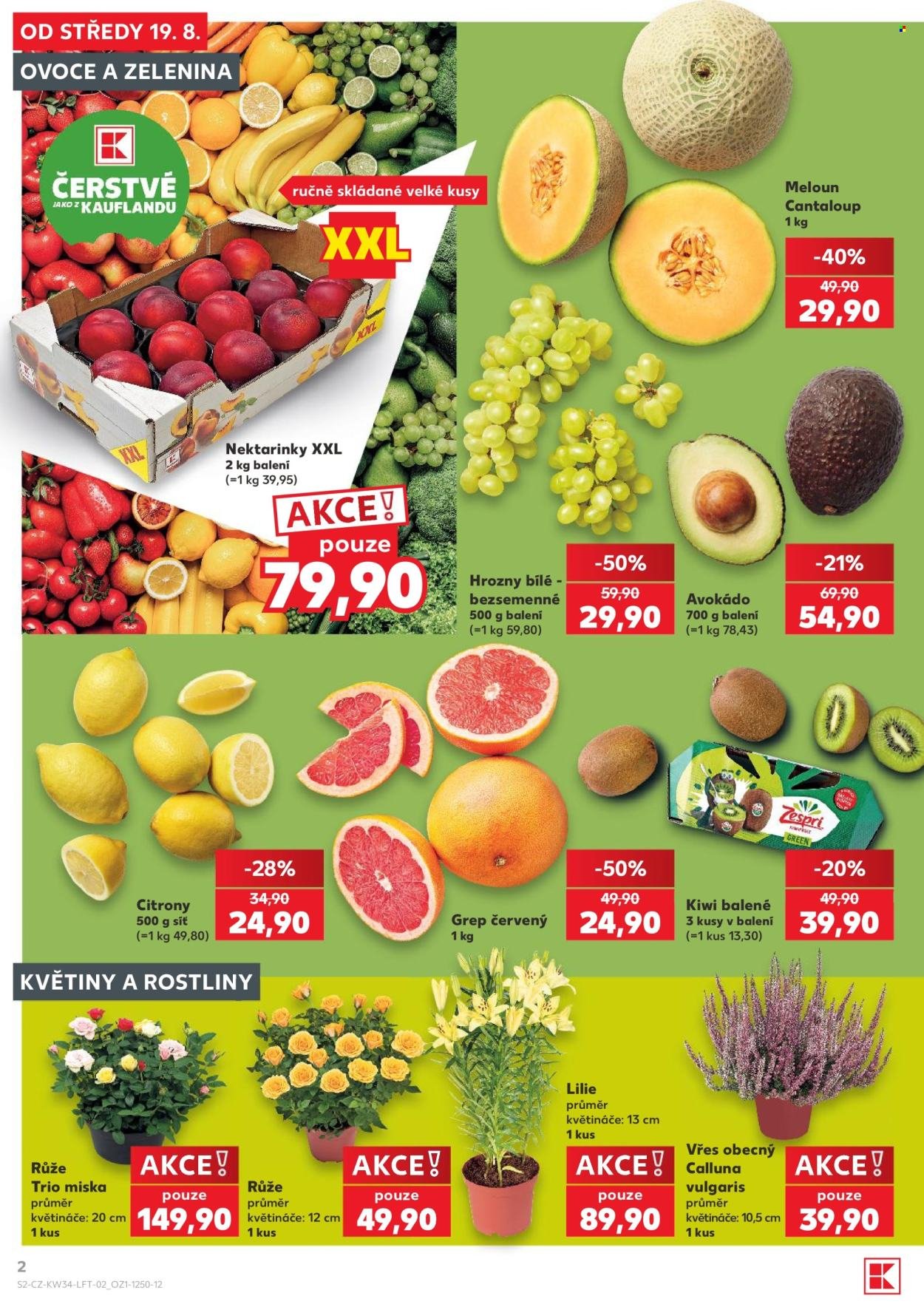 KAUFLAND leták - Od středy 19.8.2026