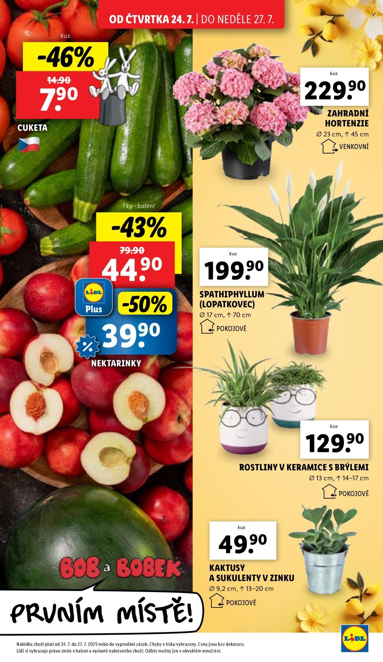 LIDL leták - Od čtvrtka 24.7.2025 (2025-07-24 - 2025-07-27)