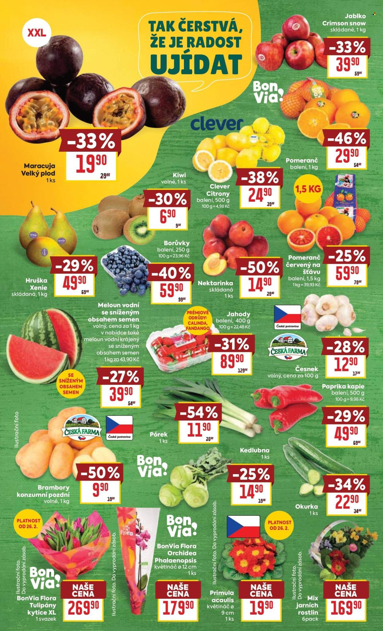 BILLA leták - Velký leták (2026-02-25 - 2026-03-03)