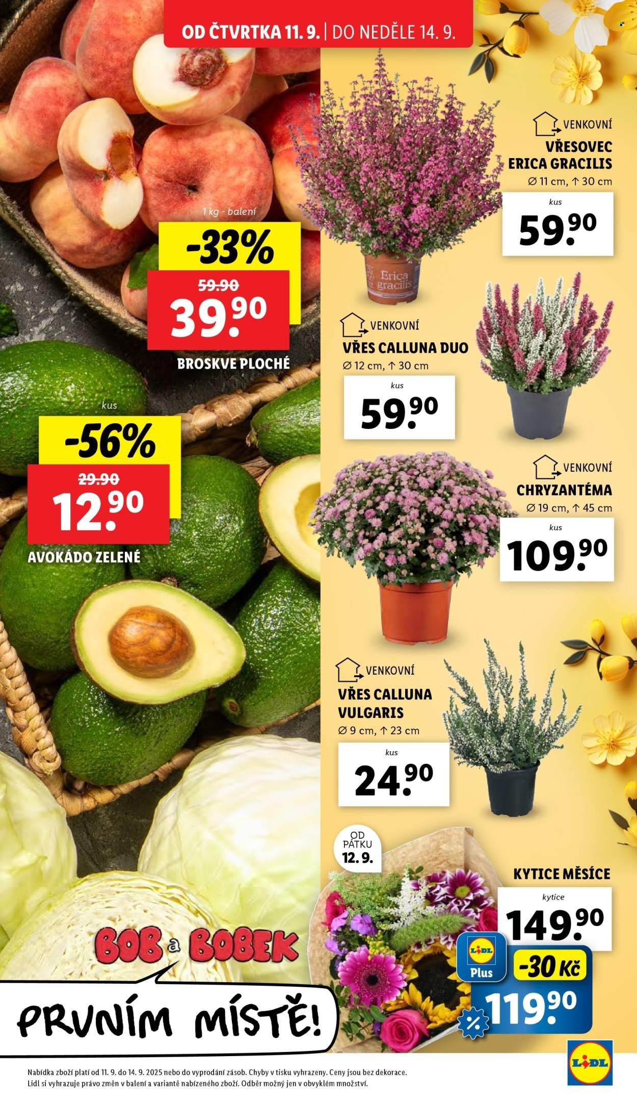 LIDL leták - Od čtvrtka 11.9.2025 (2025-09-11 - 2025-09-14)