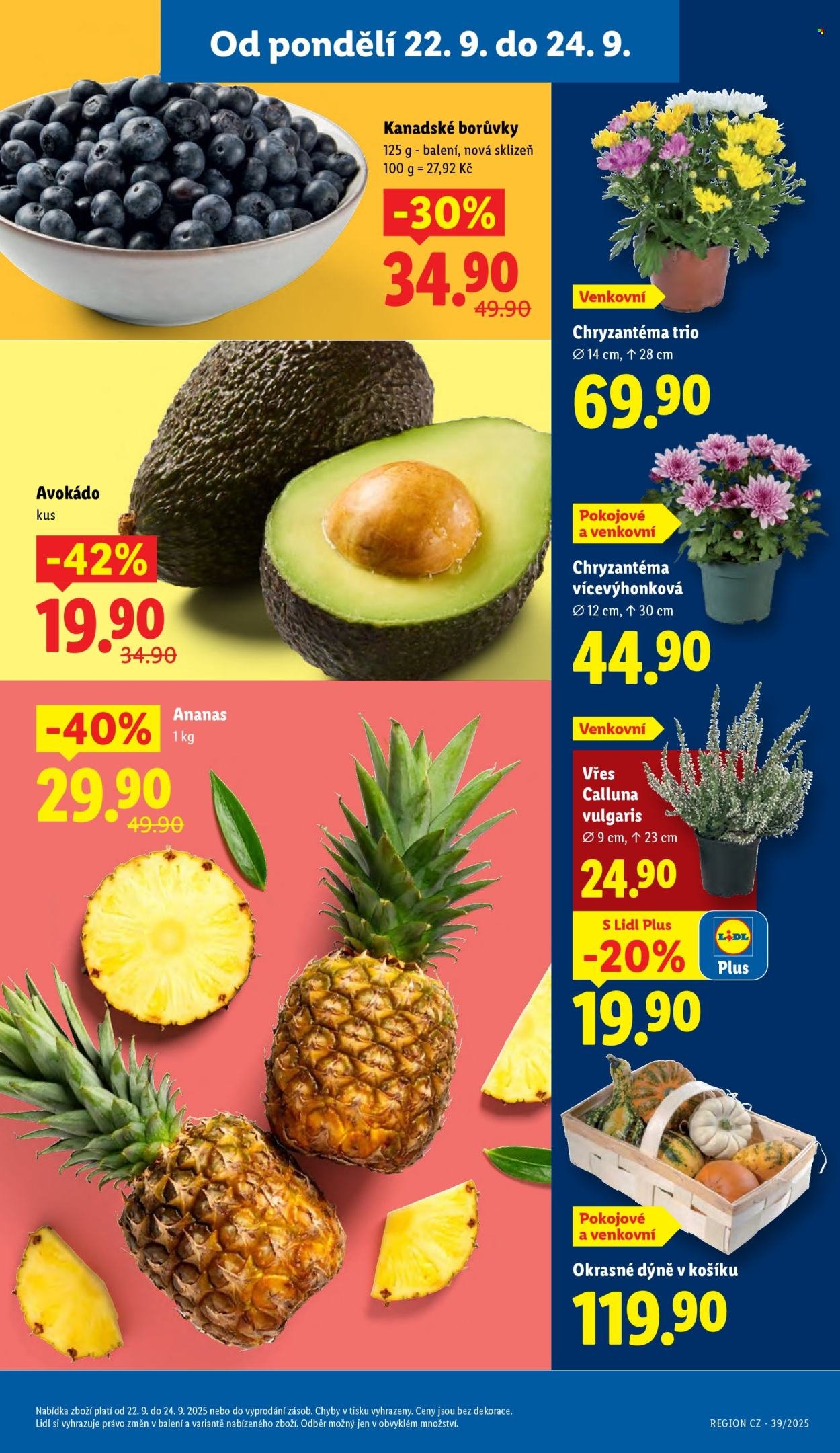 LIDL leták - Od pondělí 22.9.2025 (2025-09-22 - 2025-09-24)