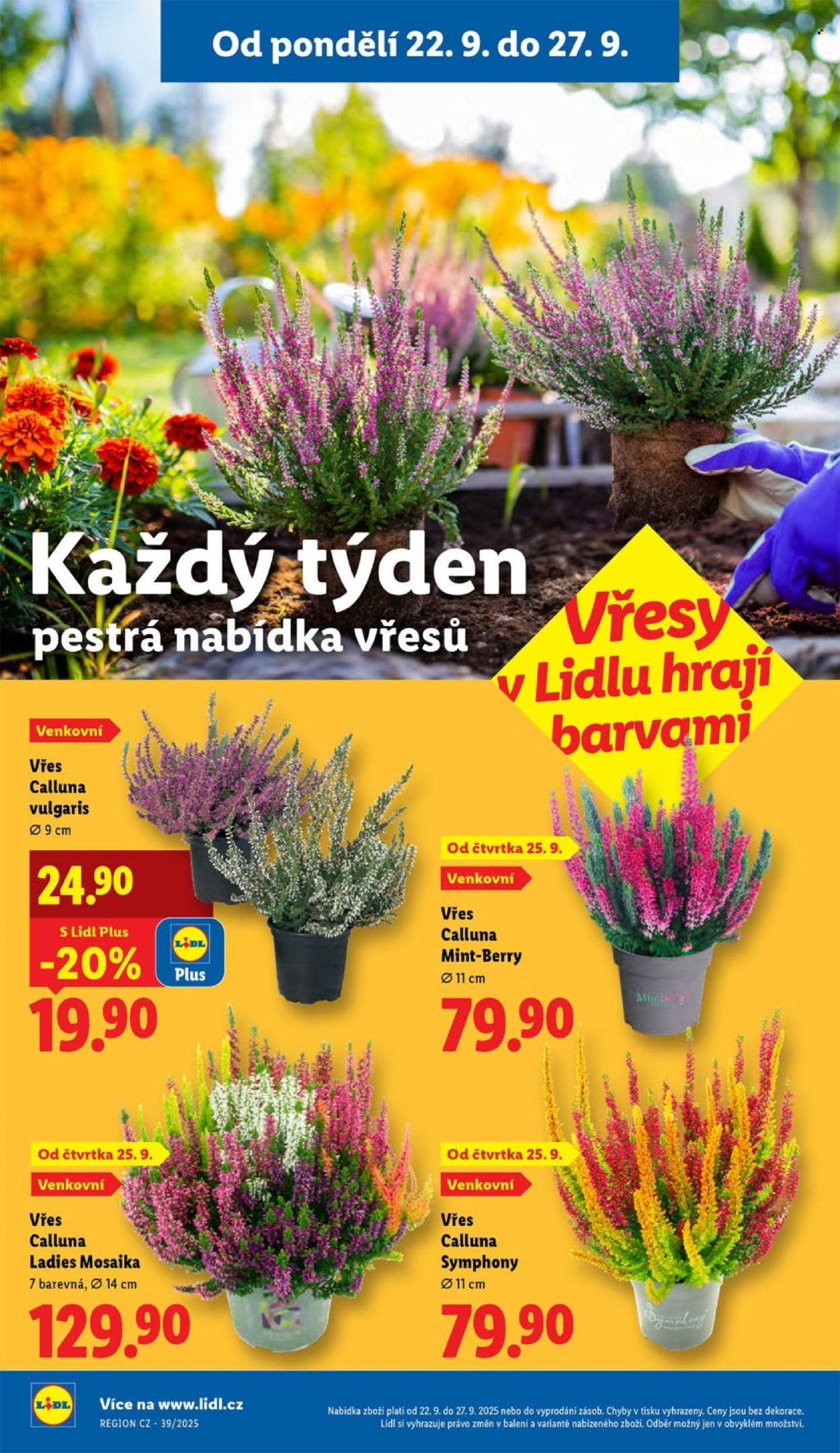 LIDL leták - Od pondělí 22.9.2025 (2025-09-22 - 2025-09-24)