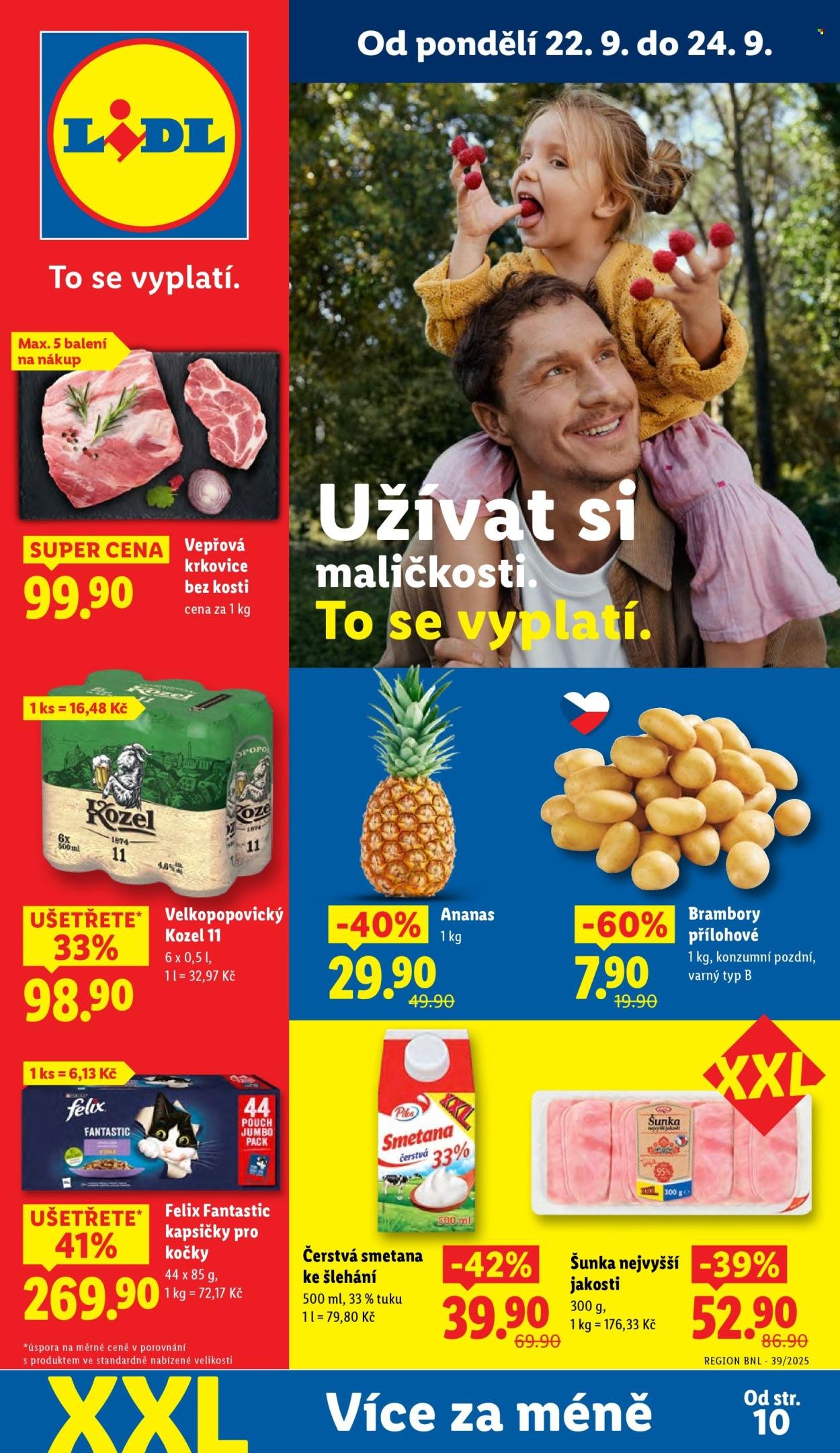 LIDL leták - Od pondělí 22.9.2025 (2025-09-22 - 2025-09-24)
