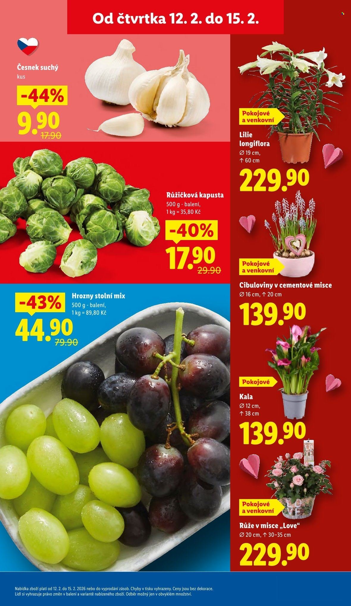 LIDL leták - Od čtvrtka 12.2.2026 (2026-02-12 - 2026-02-15)