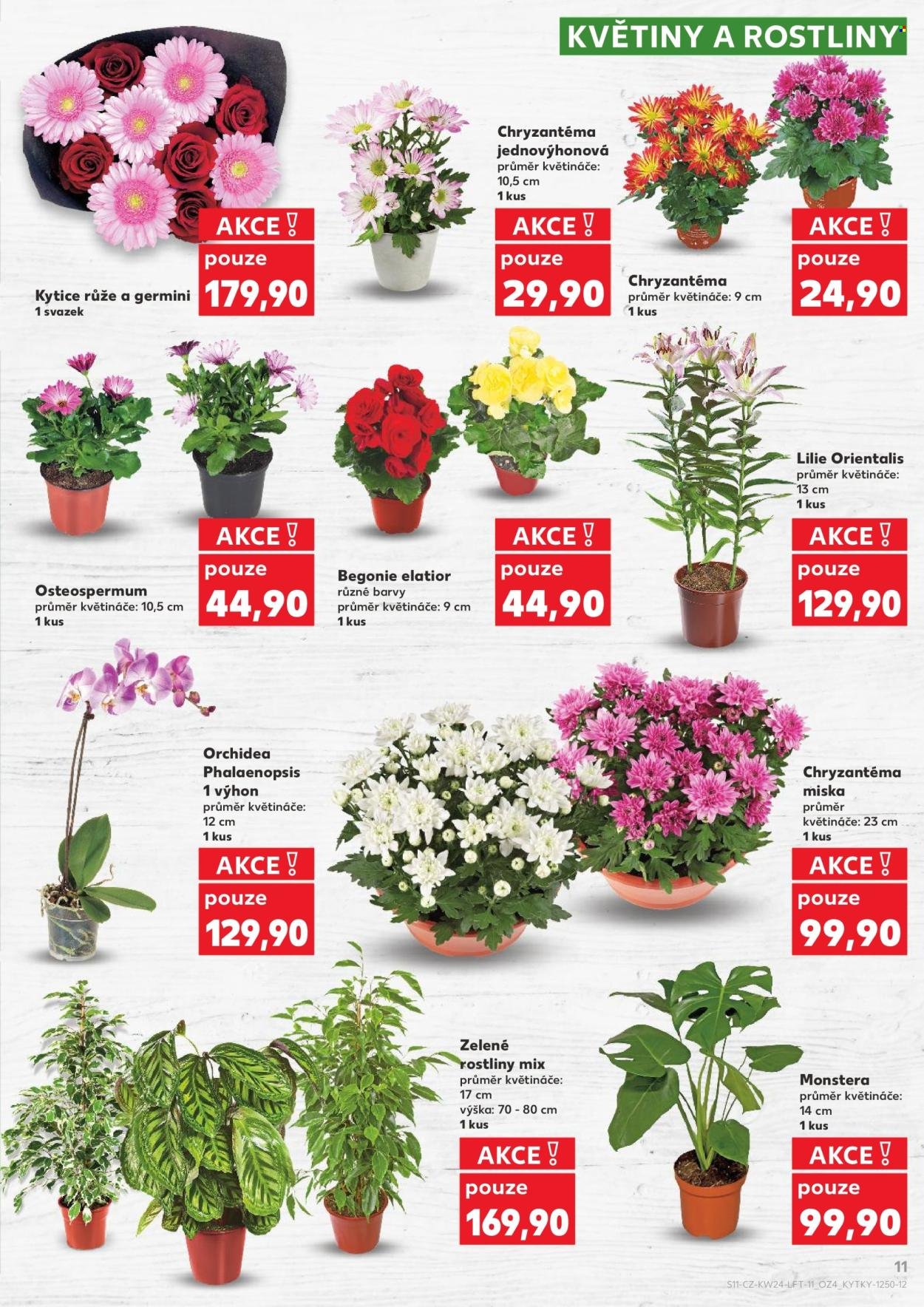 KAUFLAND leták - Od středy 10.6.2026