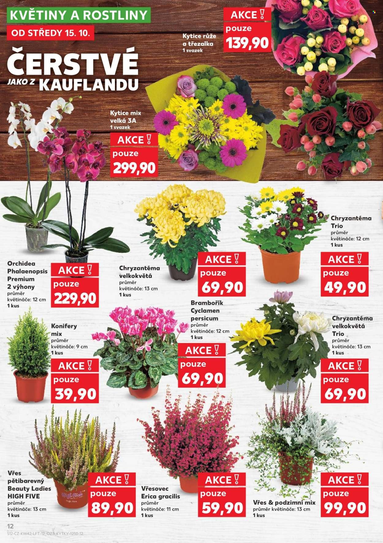 KAUFLAND leták - Od středy 15.10.2025 (2025-10-15 - 2025-10-21)