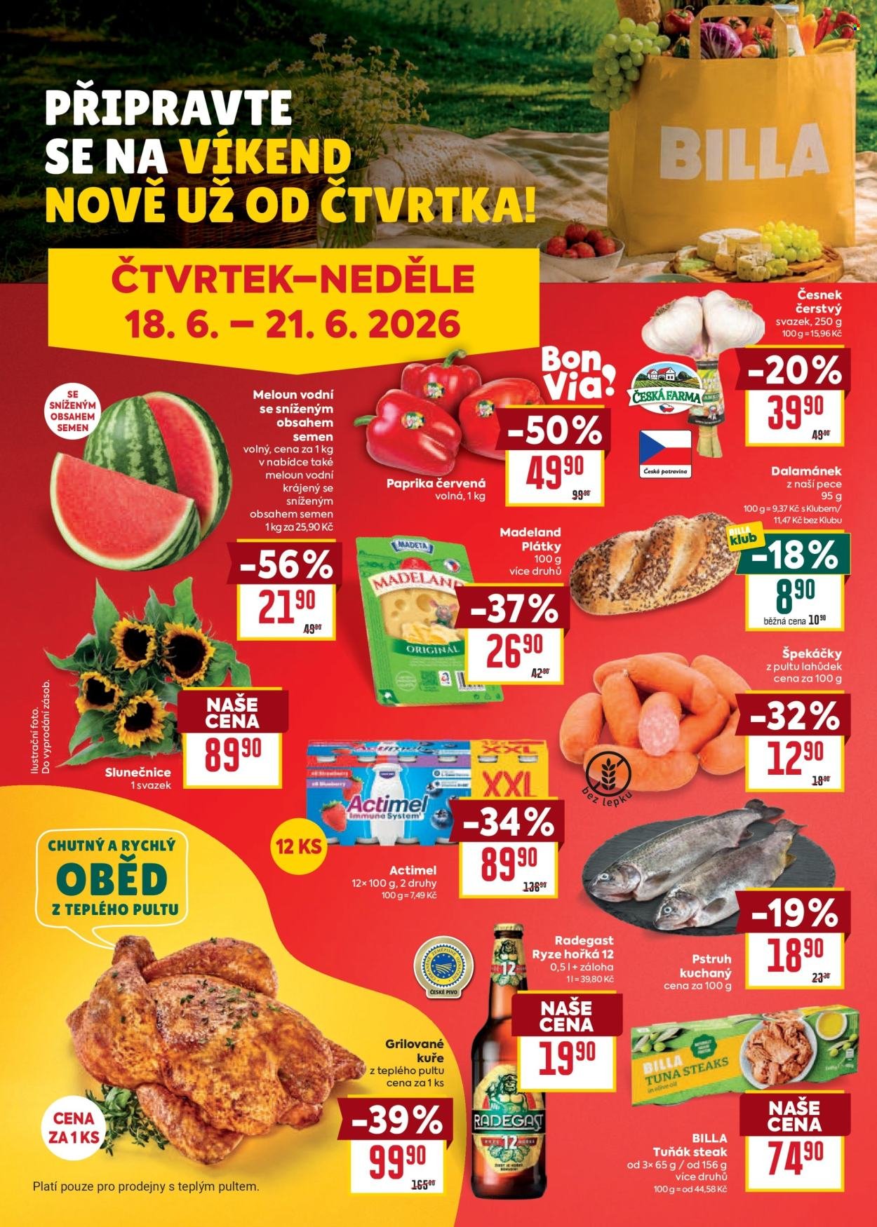 BILLA leták - Velký leták
