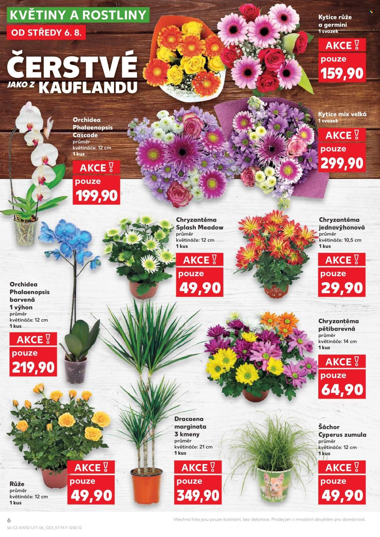 KAUFLAND leták - Od středy 6.8.2025 (2025-08-06 - 2025-08-12)
