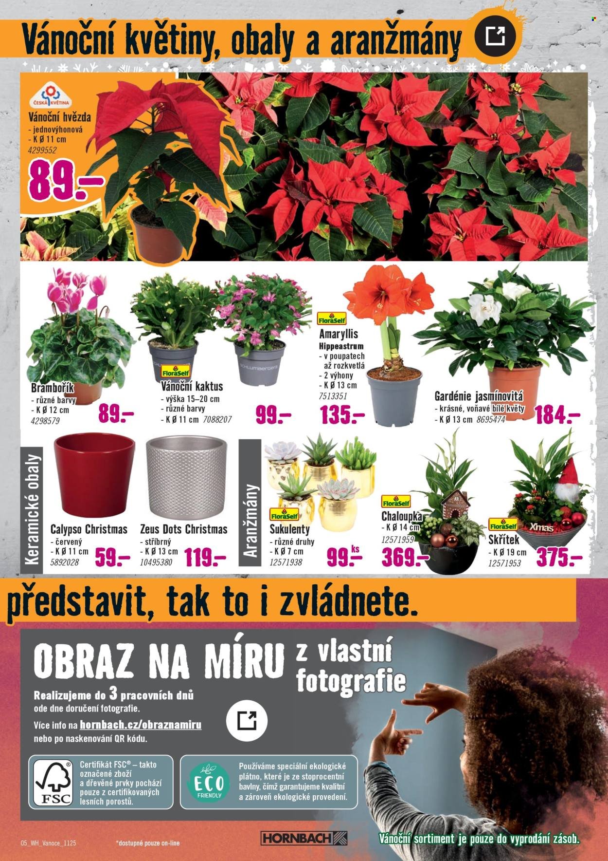 HORNBACH leták - Váš další projekt - Vánoční dekorace (2025-10-29 - 2025-11-12)