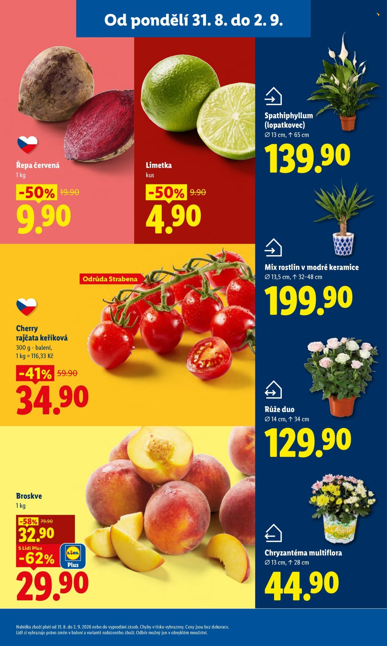 LIDL leták - Od pondělí 31.8.2026