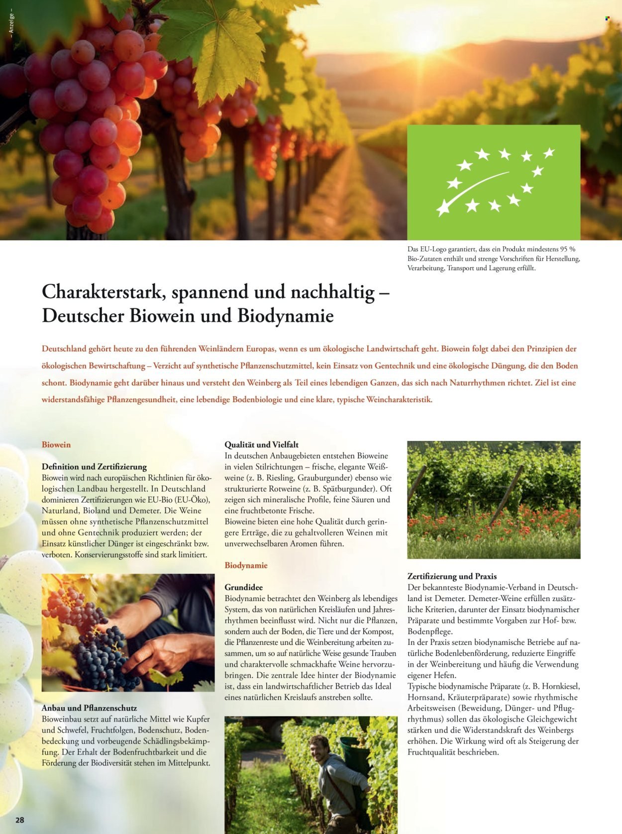 TEGUT... Prospekt - Ab Montag 1.12.2025 (2025-12-01 - 2025-12-06)