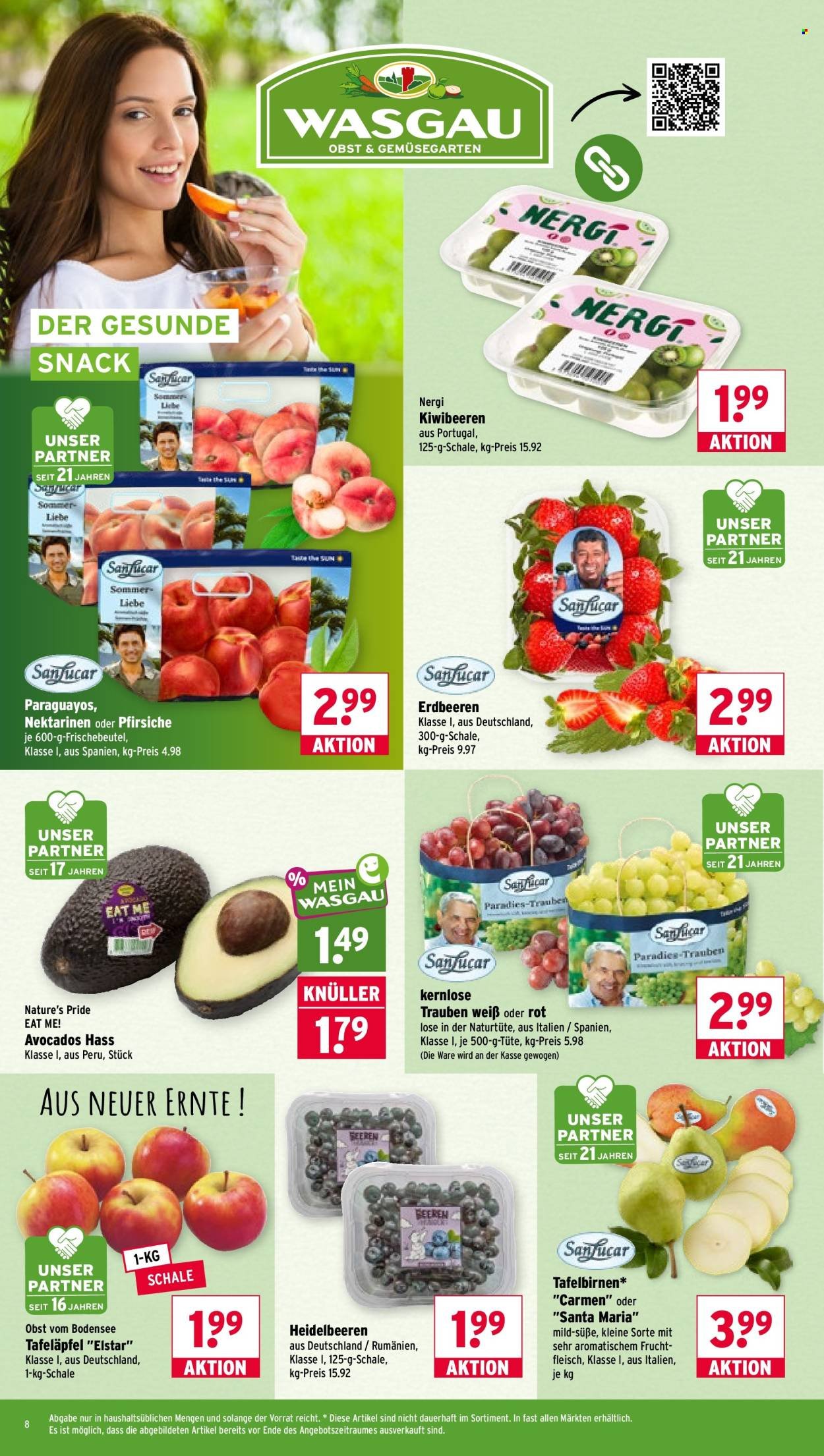 WASGAU Prospekt - Ab Montag 7.09.2026