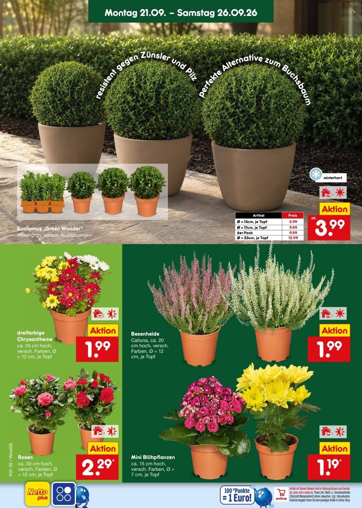 NETTO MARKEN-DISCOUNT Prospekt - Ab Montag 21.09.2026