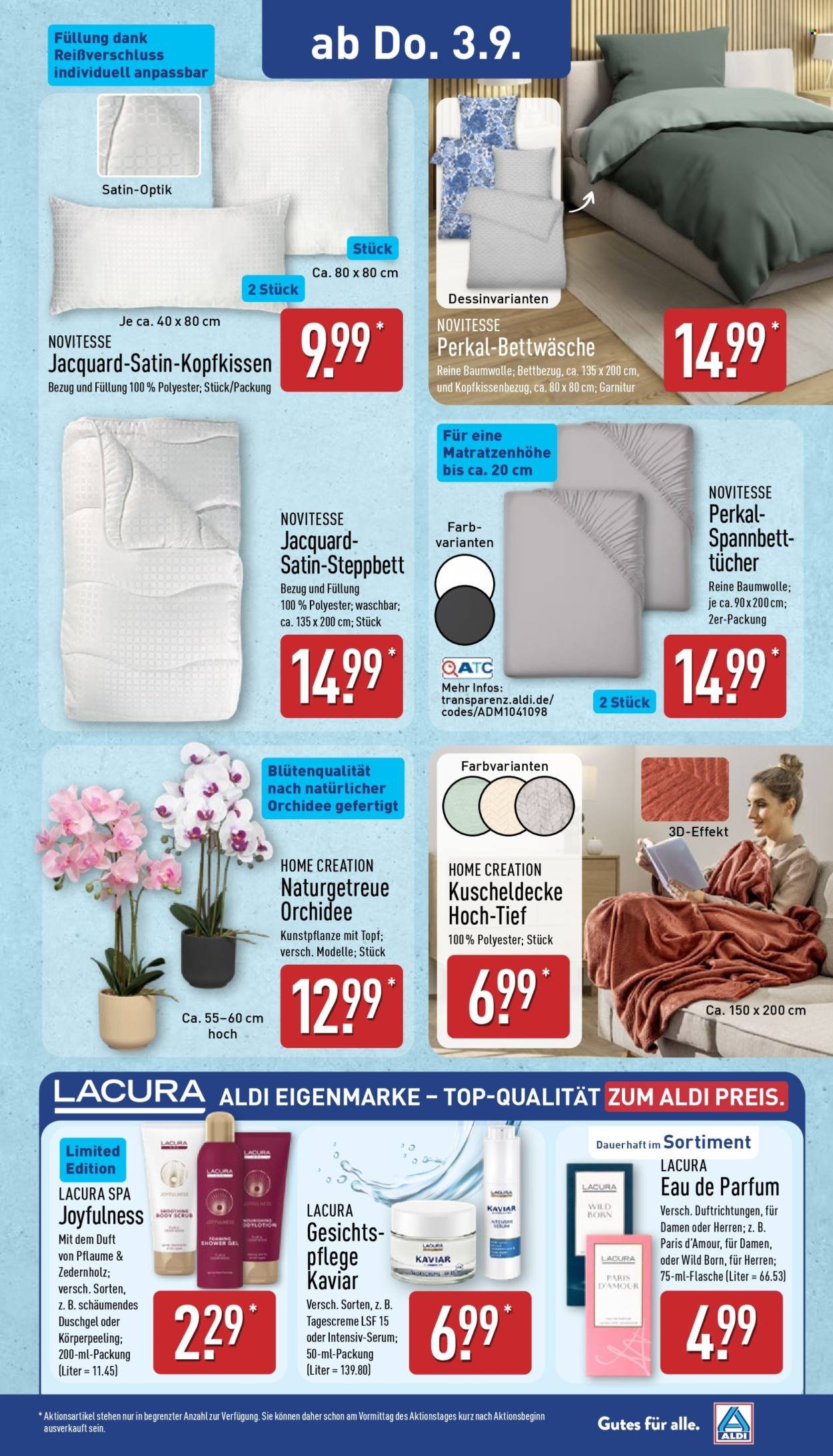 ALDI NORD Prospekt - Ab Montag 31.08.2026