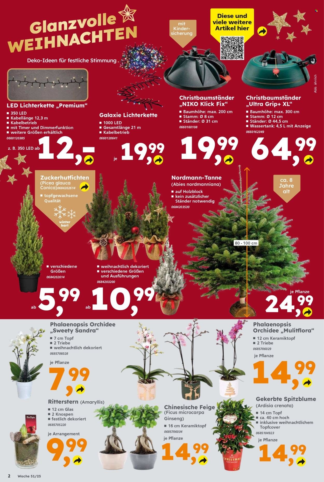 GLOBUS BAUMARKT Prospekt - Ab Montag 15.12.2025