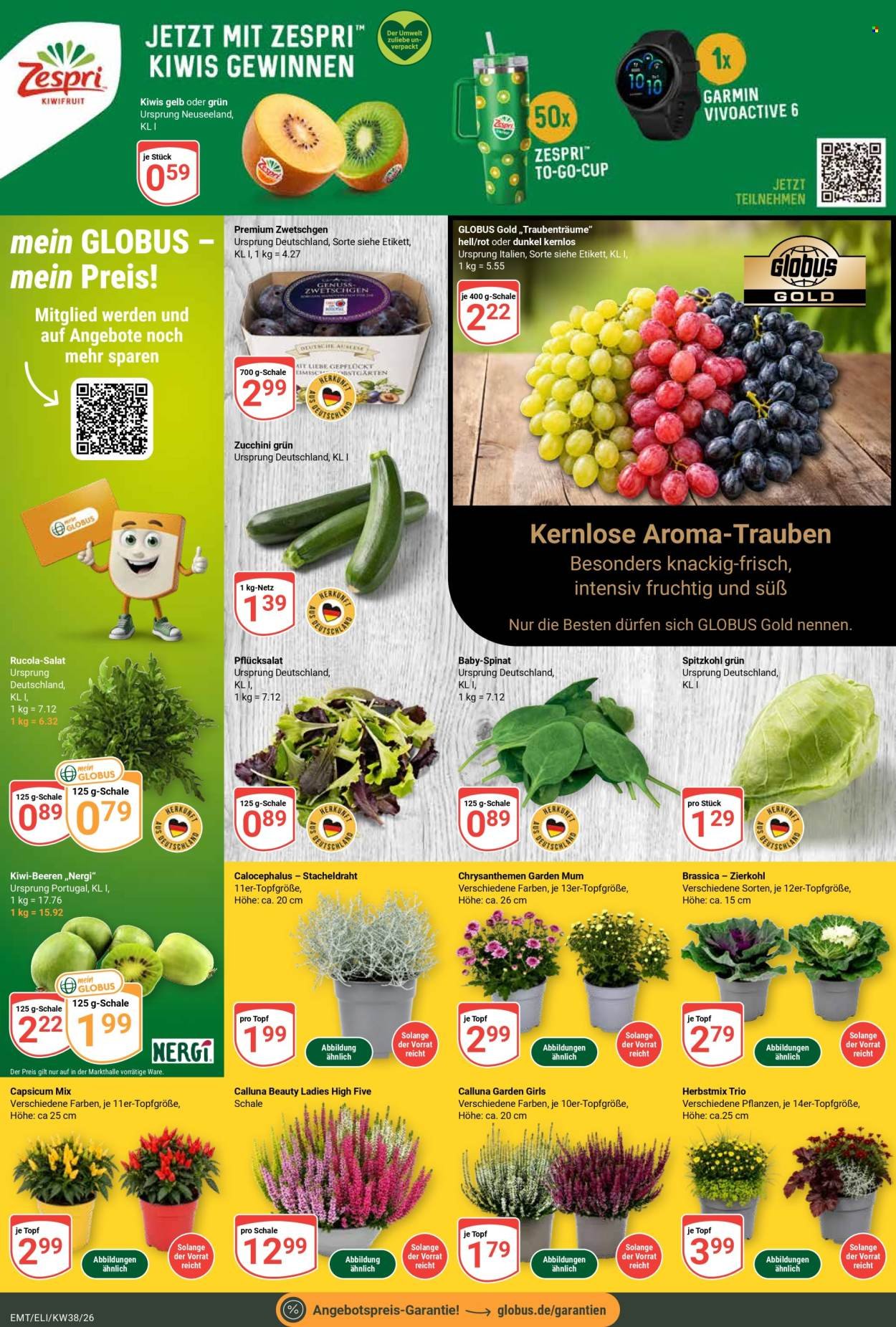 GLOBUS Prospekt - Ab Montag 14.09.2026