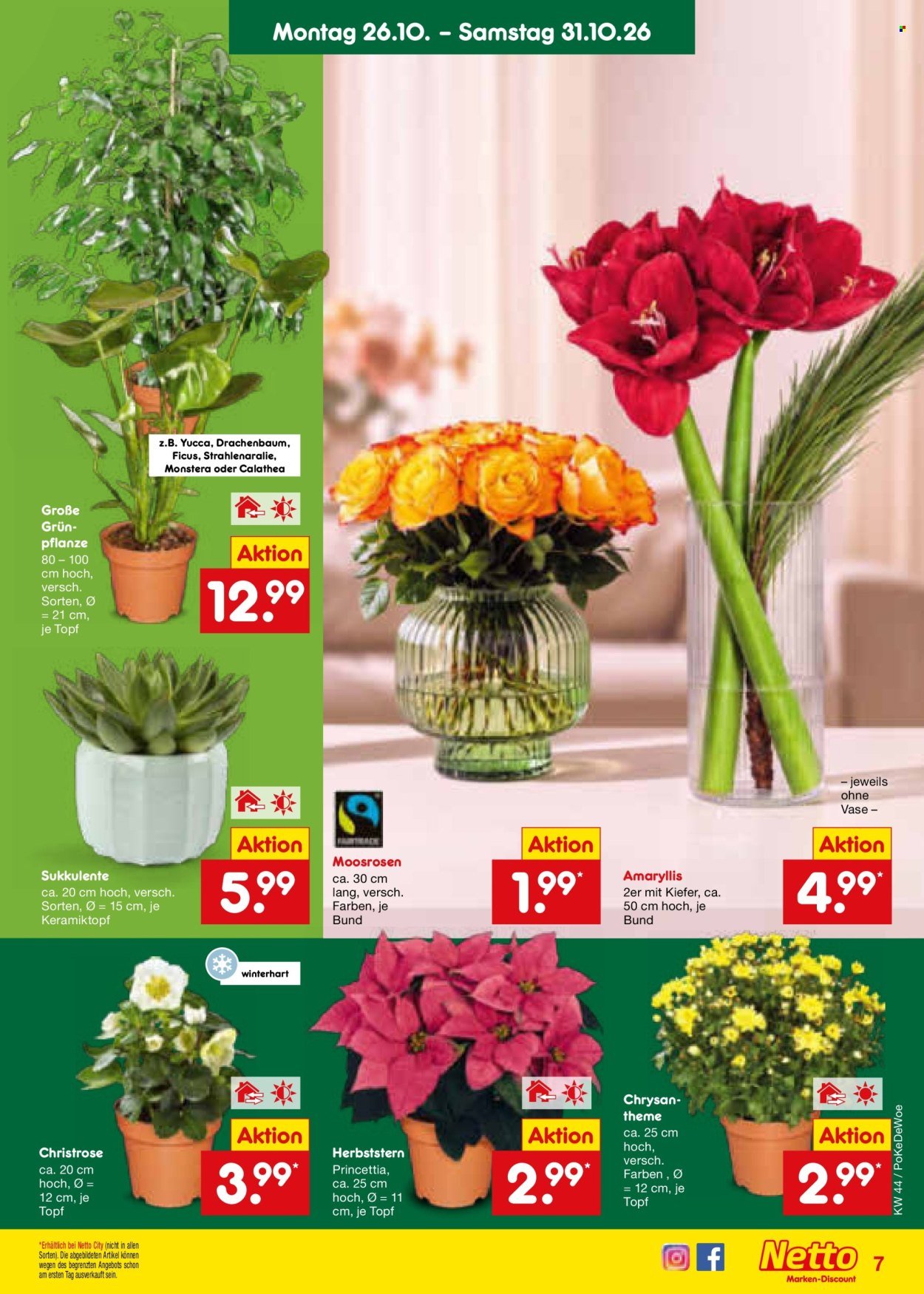 NETTO MARKEN-DISCOUNT Prospekt - Ab Montag 26.10.2026